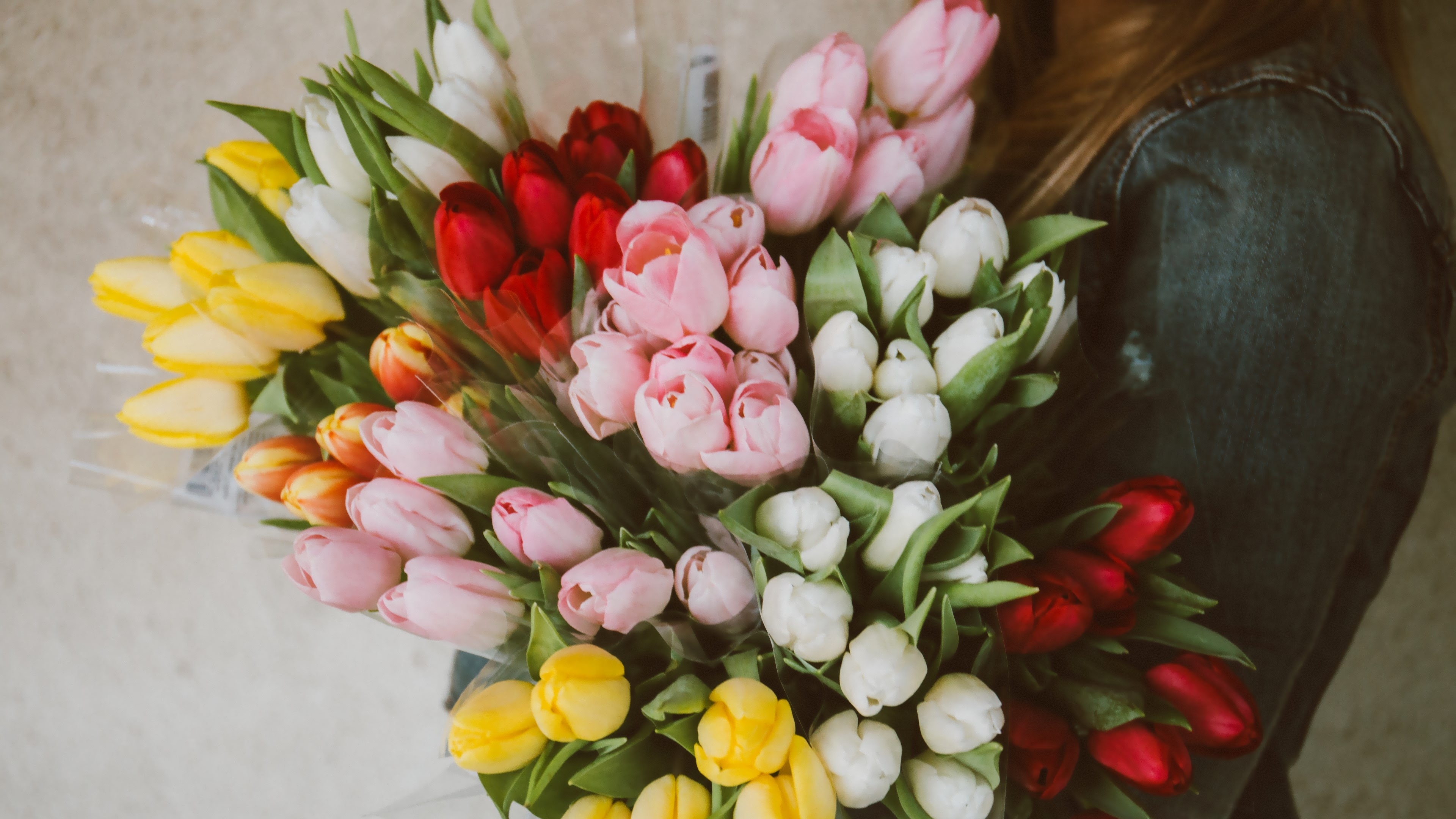 Фото бесплатно красочный, девушка, букет тюльпанов