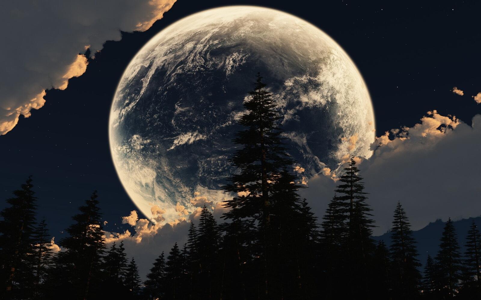 Wallpapers Moon large trees on the desktop