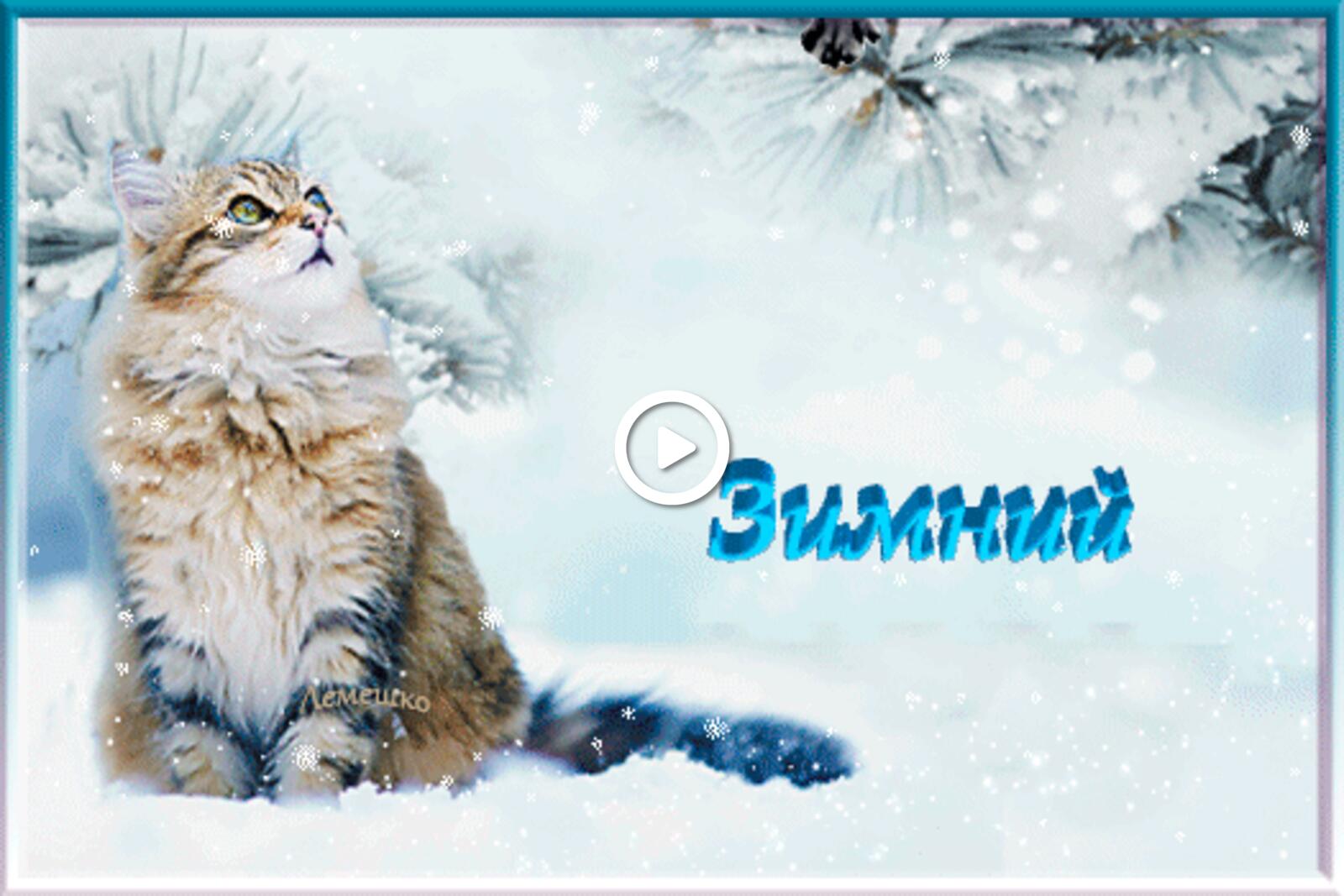A postcard on the subject of snowfall 3dtext red kitty for free