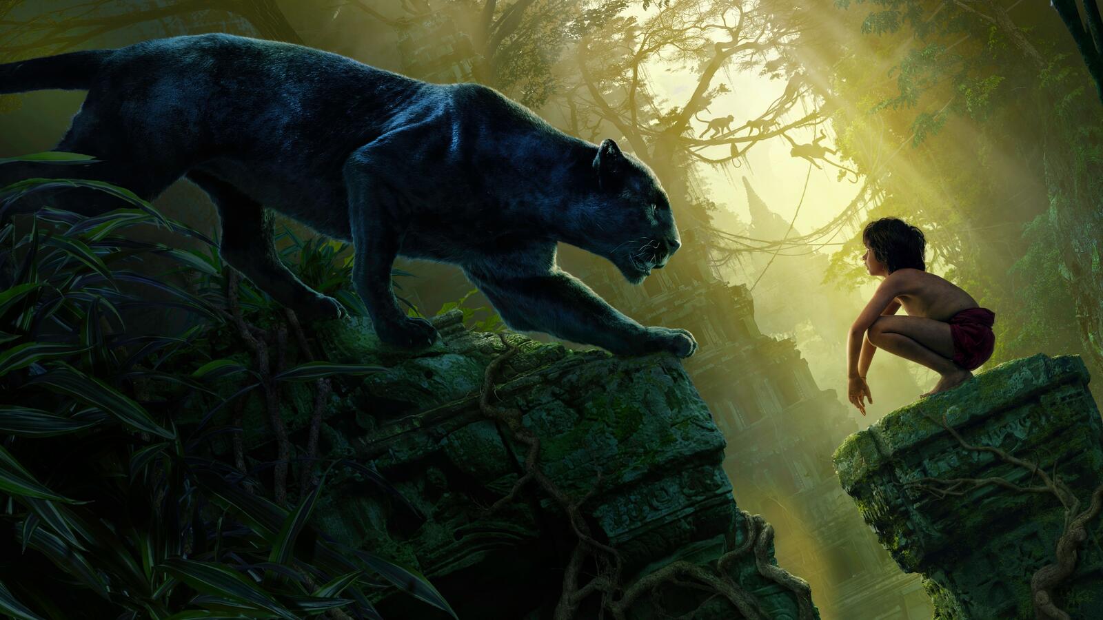 Wallpapers the jungle book panther Baguera on the desktop