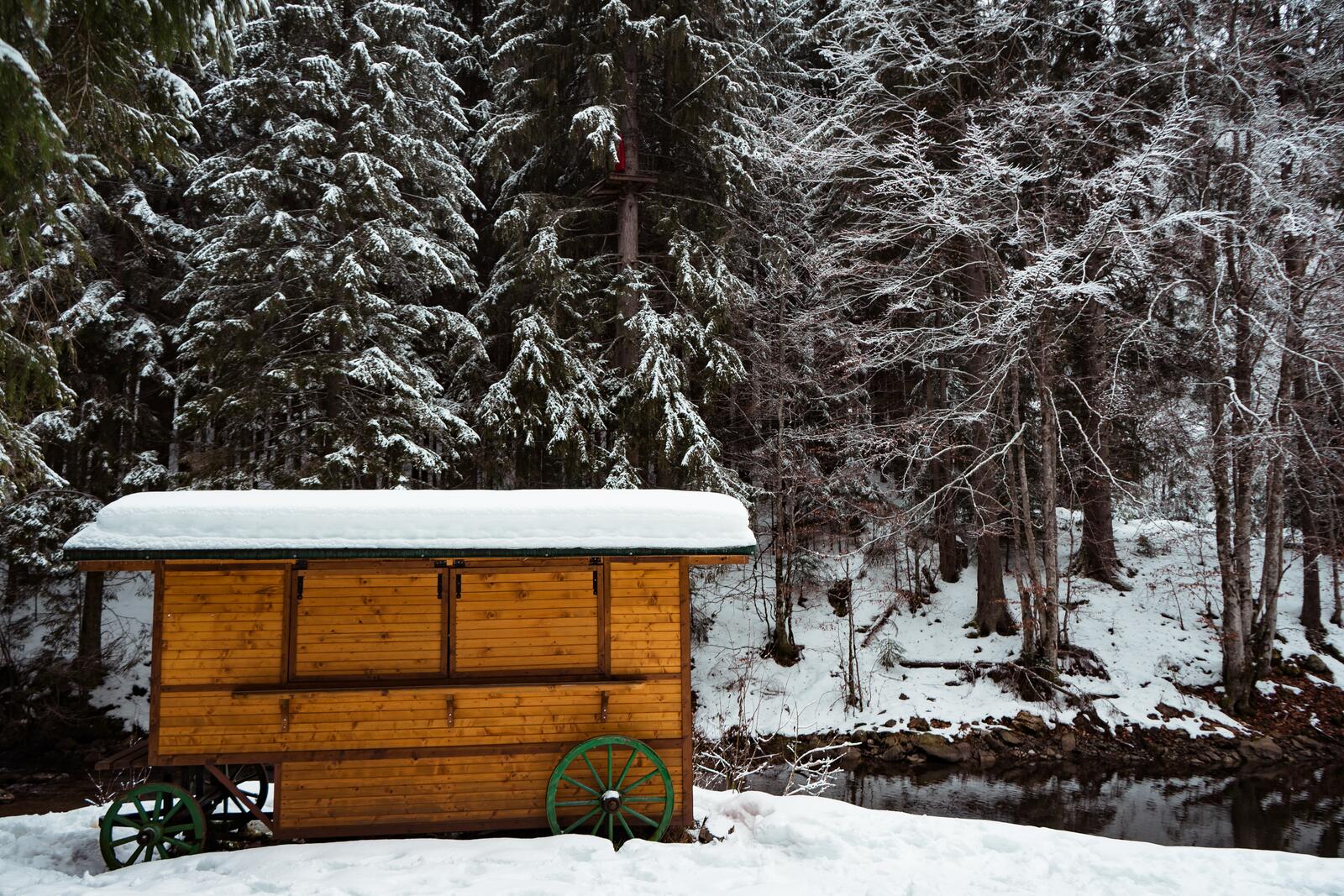 Обои избушка лес снег на рабочий стол