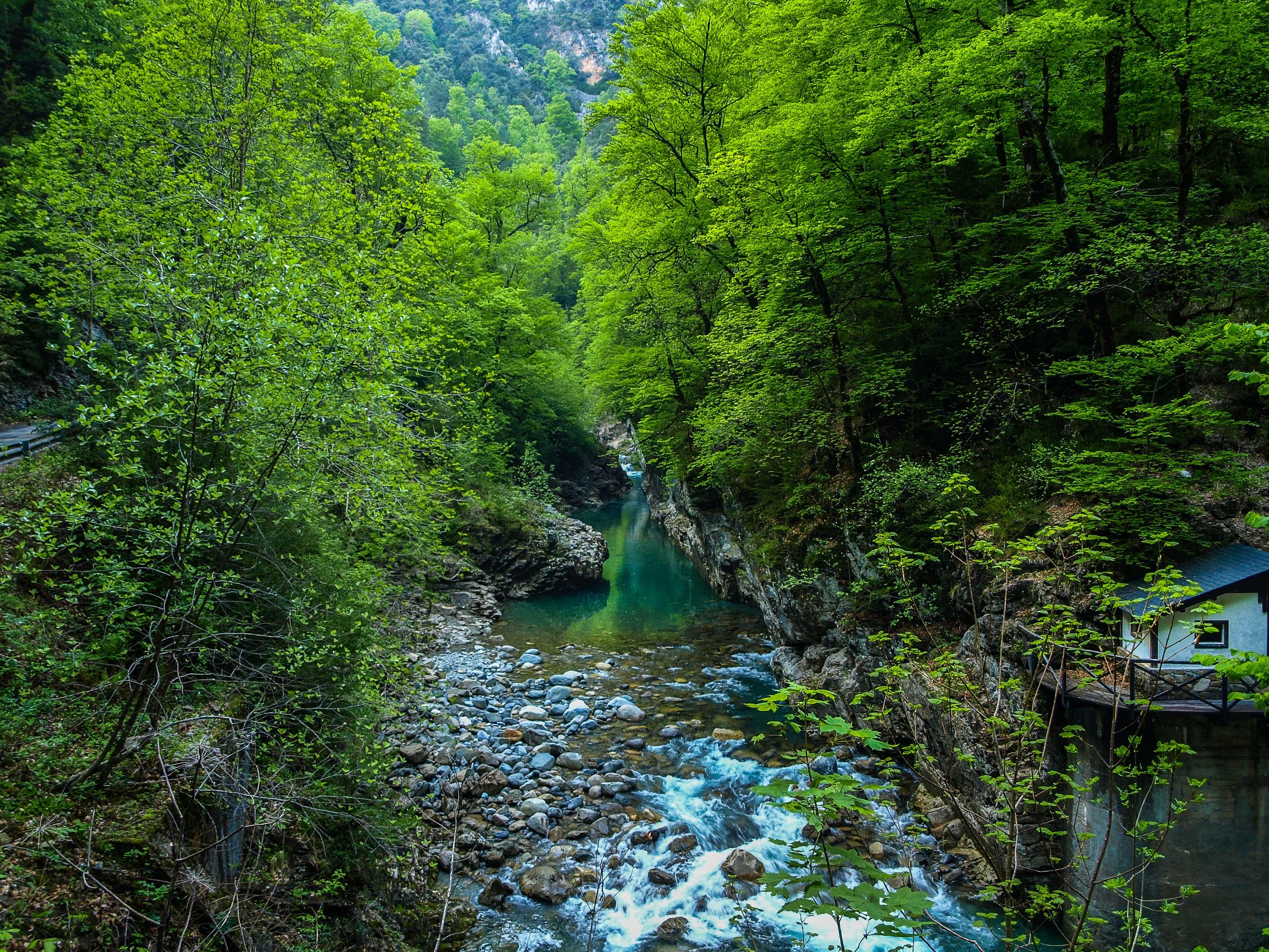 Фото бесплатно скалы, река в лесу, камни