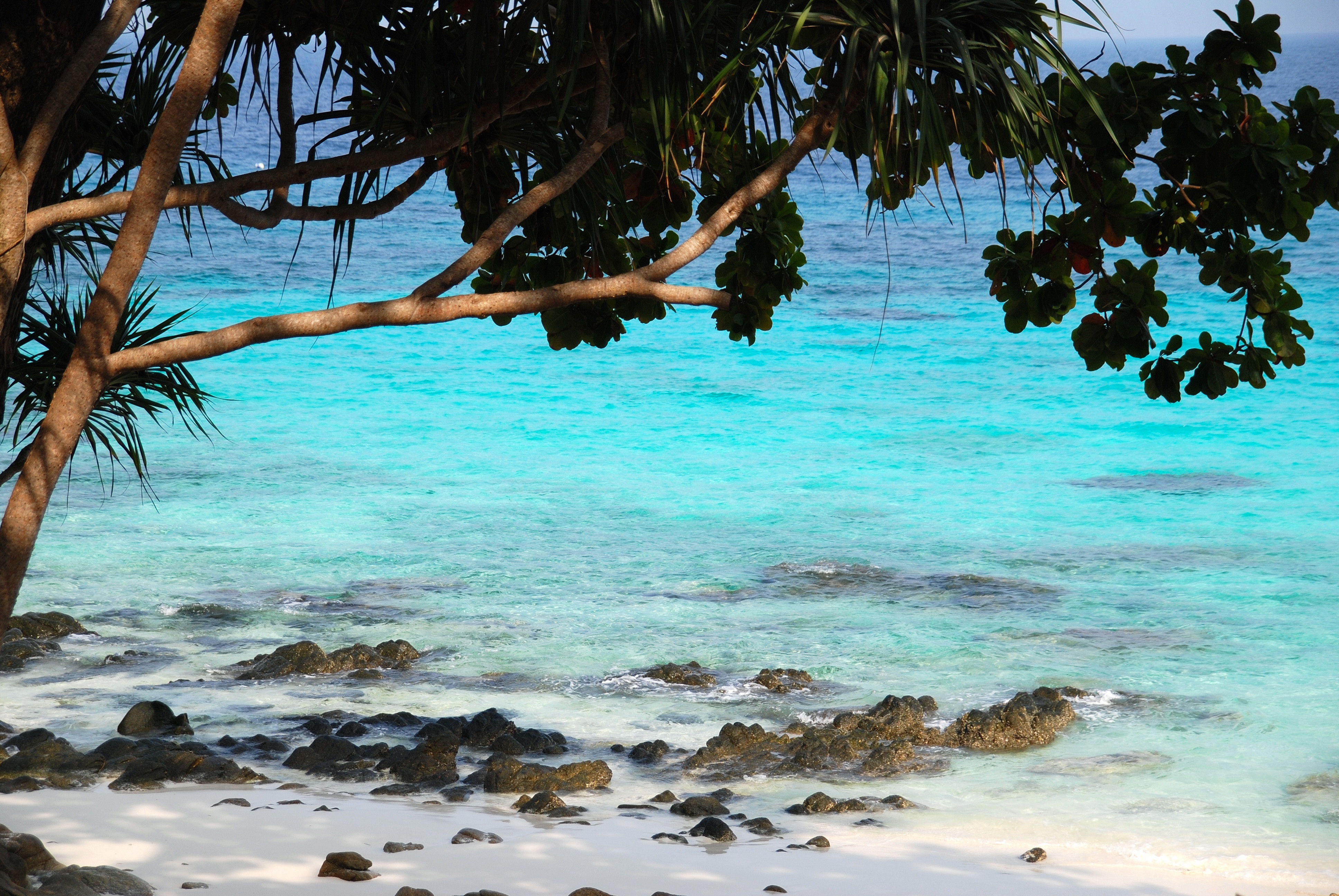 Фото бесплатно вода, карибский бассейн, пляж