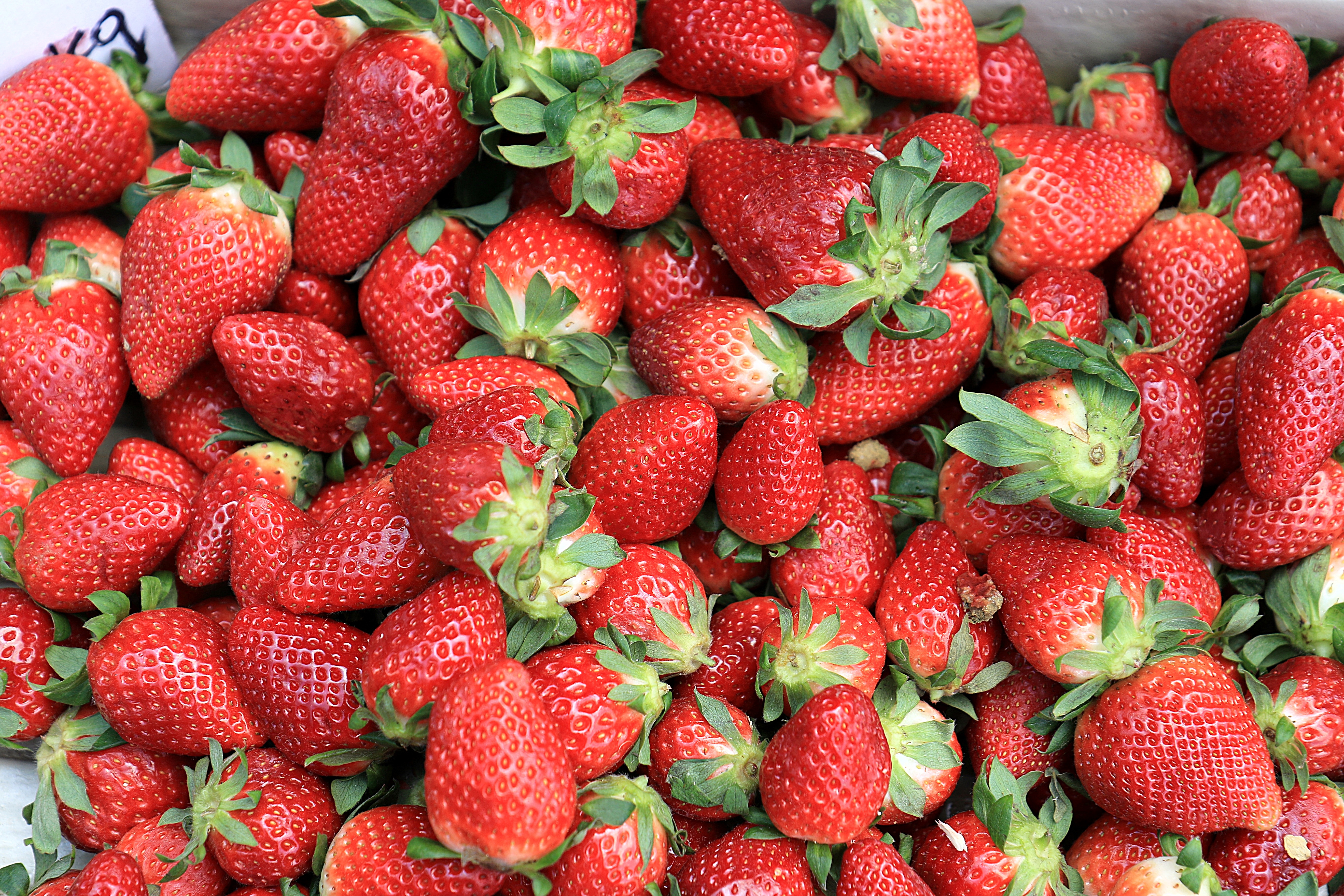Free photo Lots of fresh strawberries