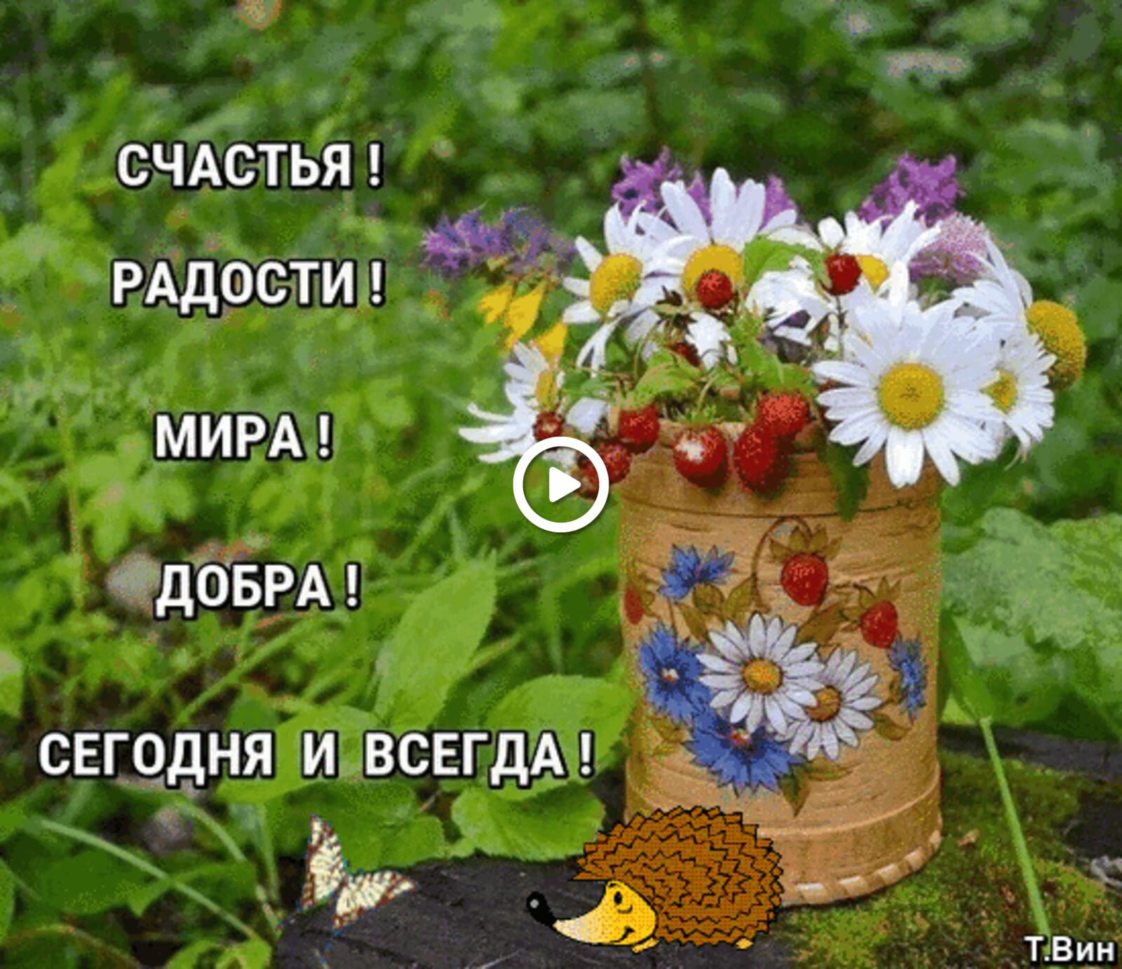 Открытка на тему полевые цветы ромашки пожелание бесплатно