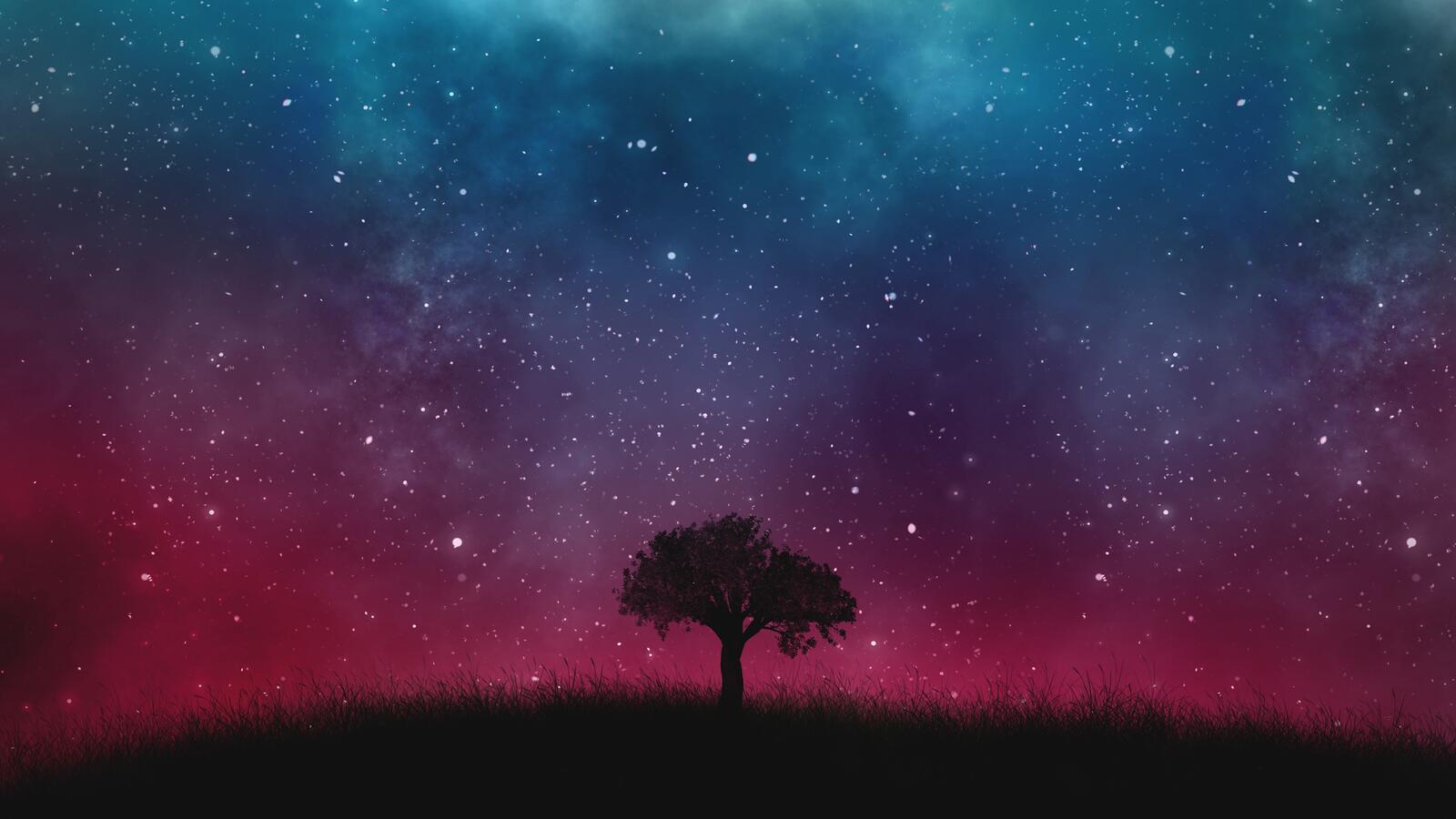 Обои обои одинокое дерево звездное небо ночь на рабочий стол