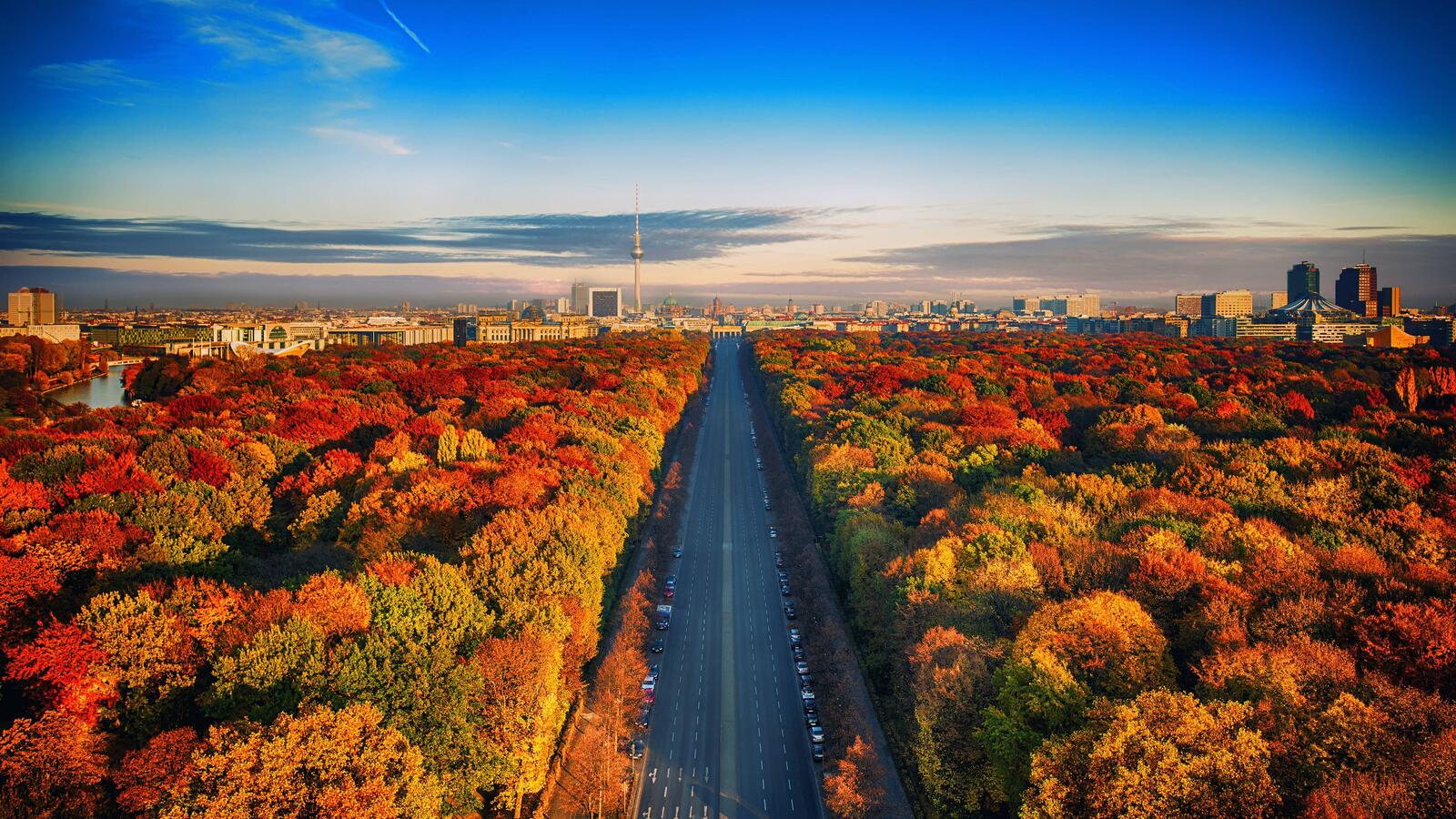 桌面上的壁纸秋季 高速公路 自然