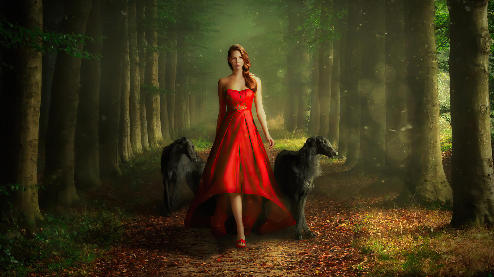 Wallpapers dress red dogs model on the desktop