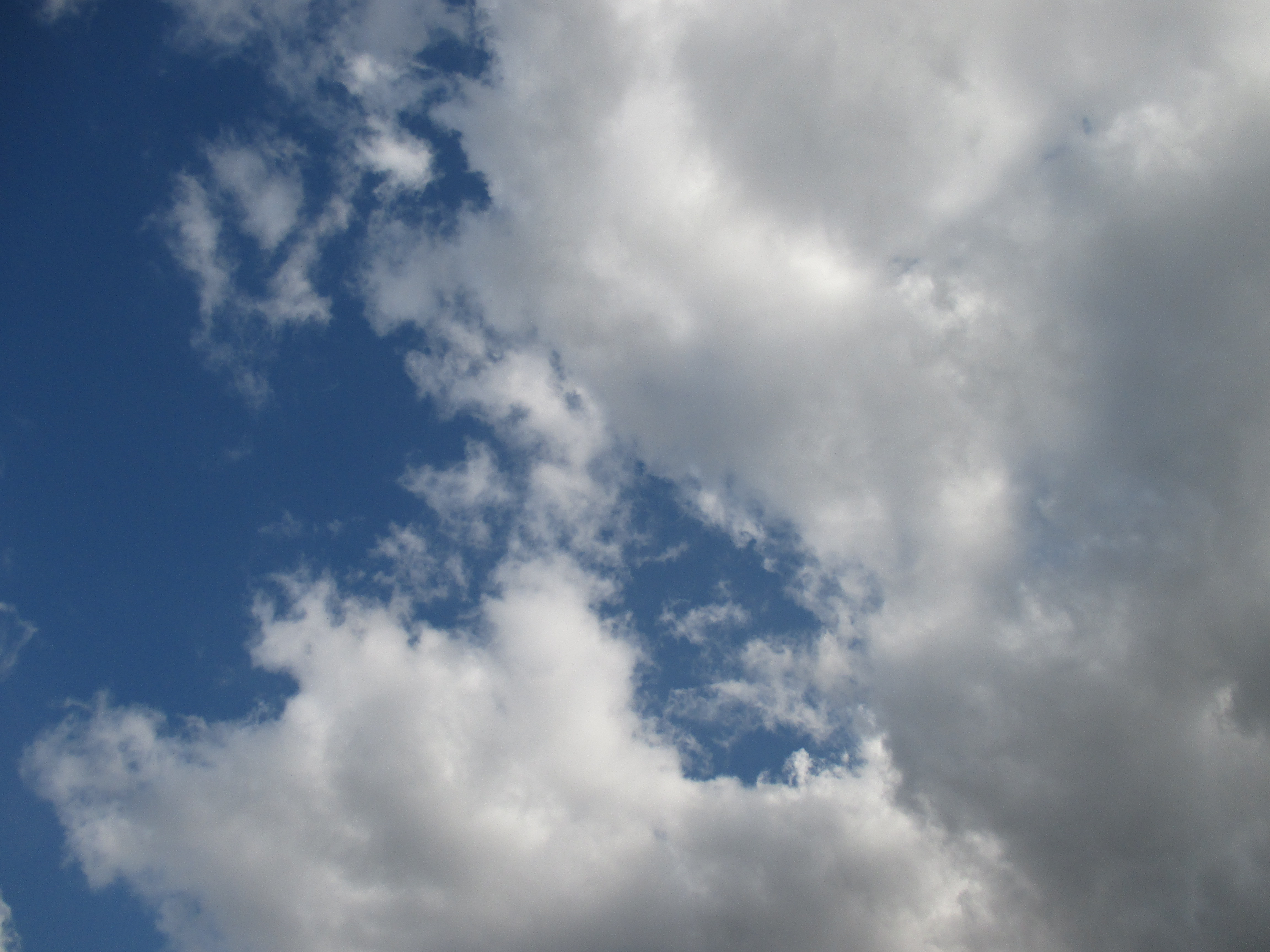 Небо синие с облаками · бесплатная фотография