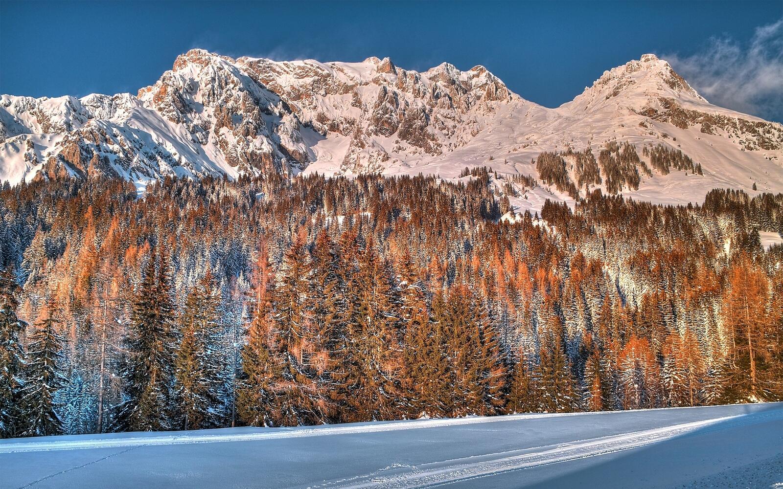 Бесплатное фото Снежные вершины гор