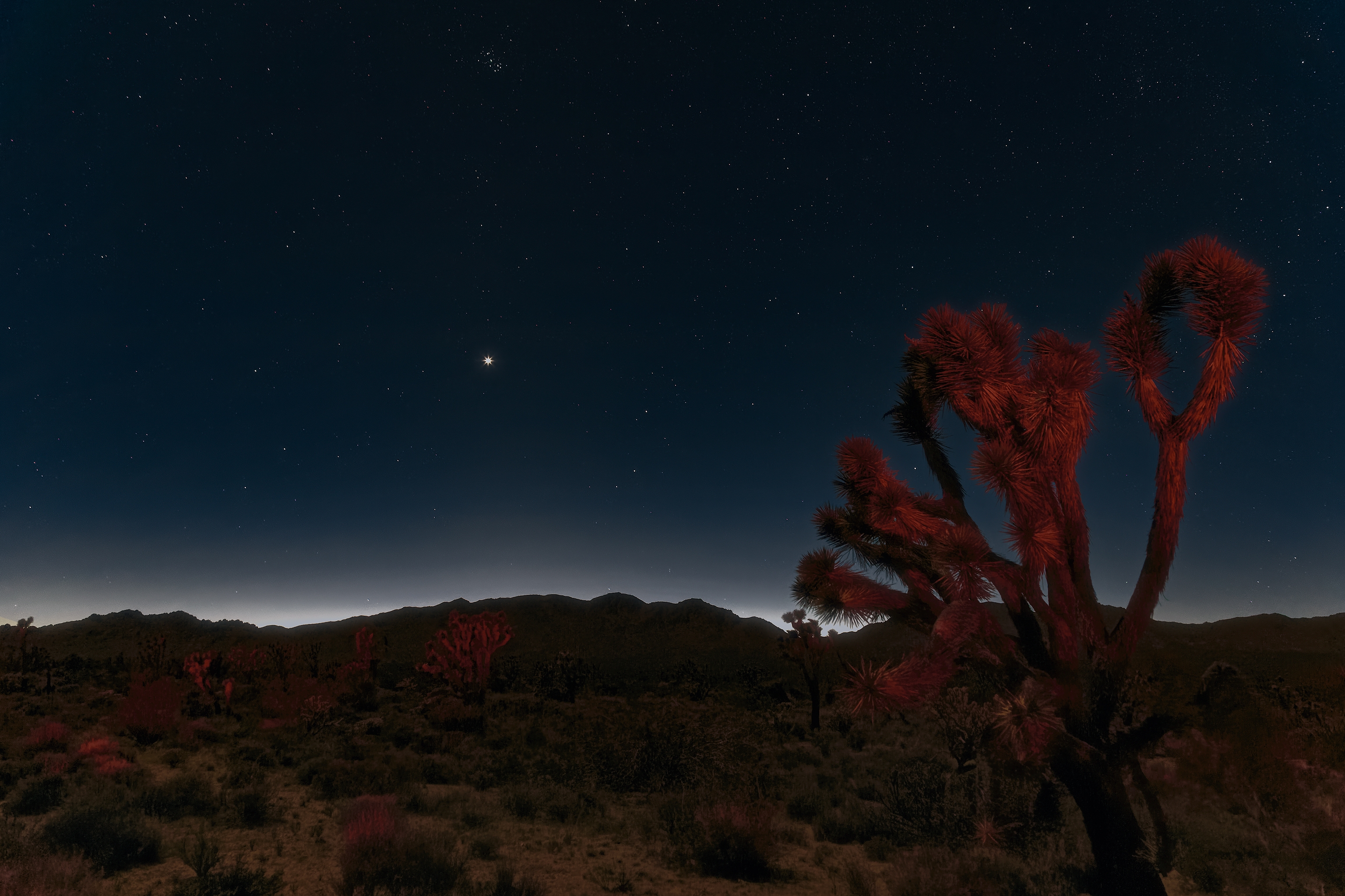 Фото бесплатно обои ночь, пустыня мохаве, звезды