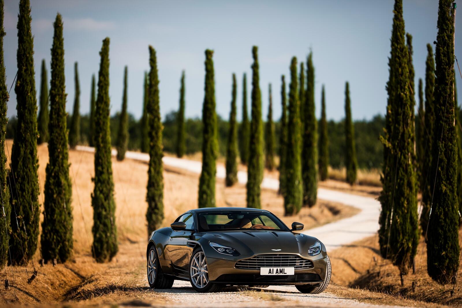 Wallpapers aston martin db11 brown front view on the desktop