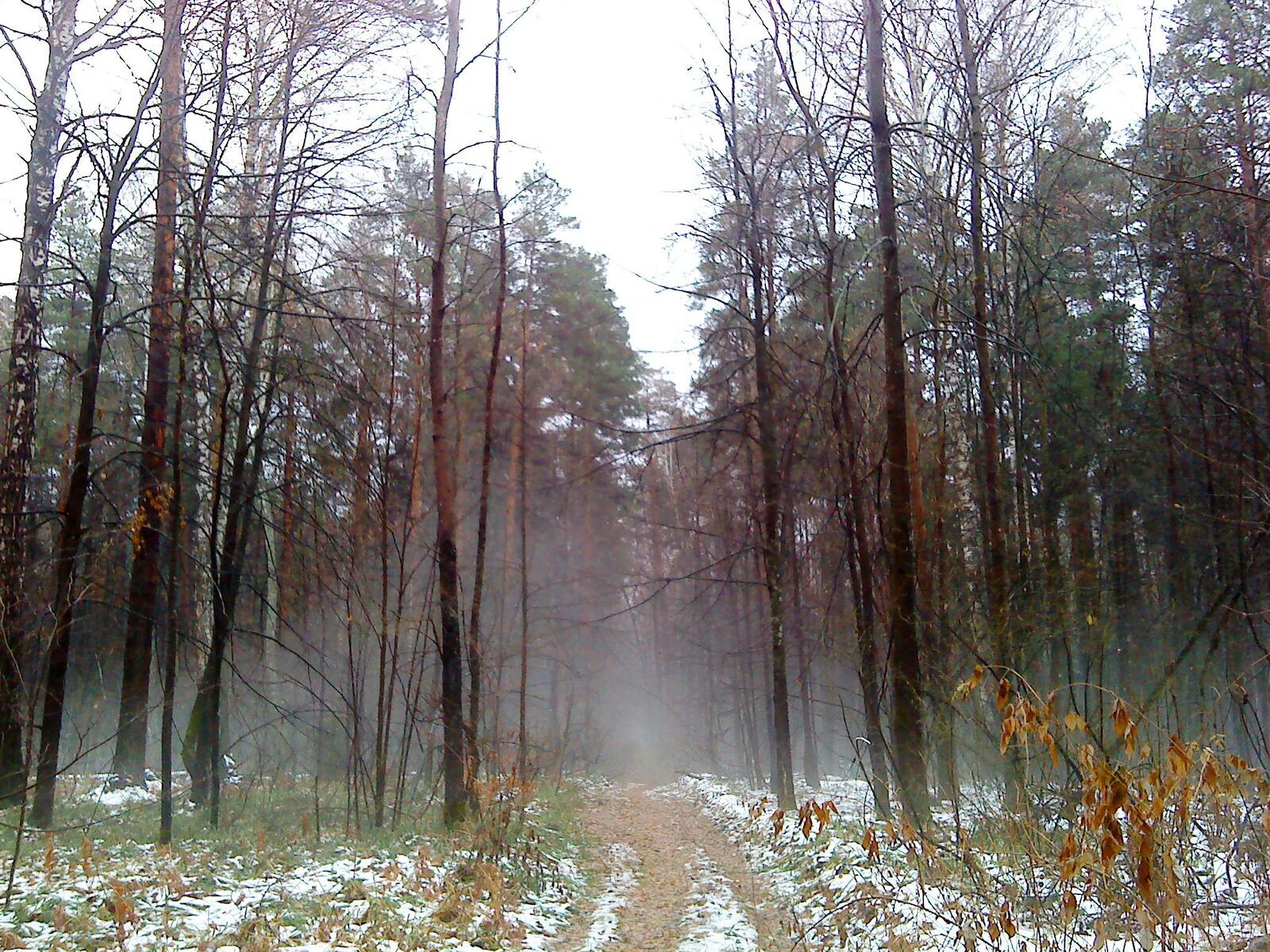 Бесплатное фото Ноябрьский туман