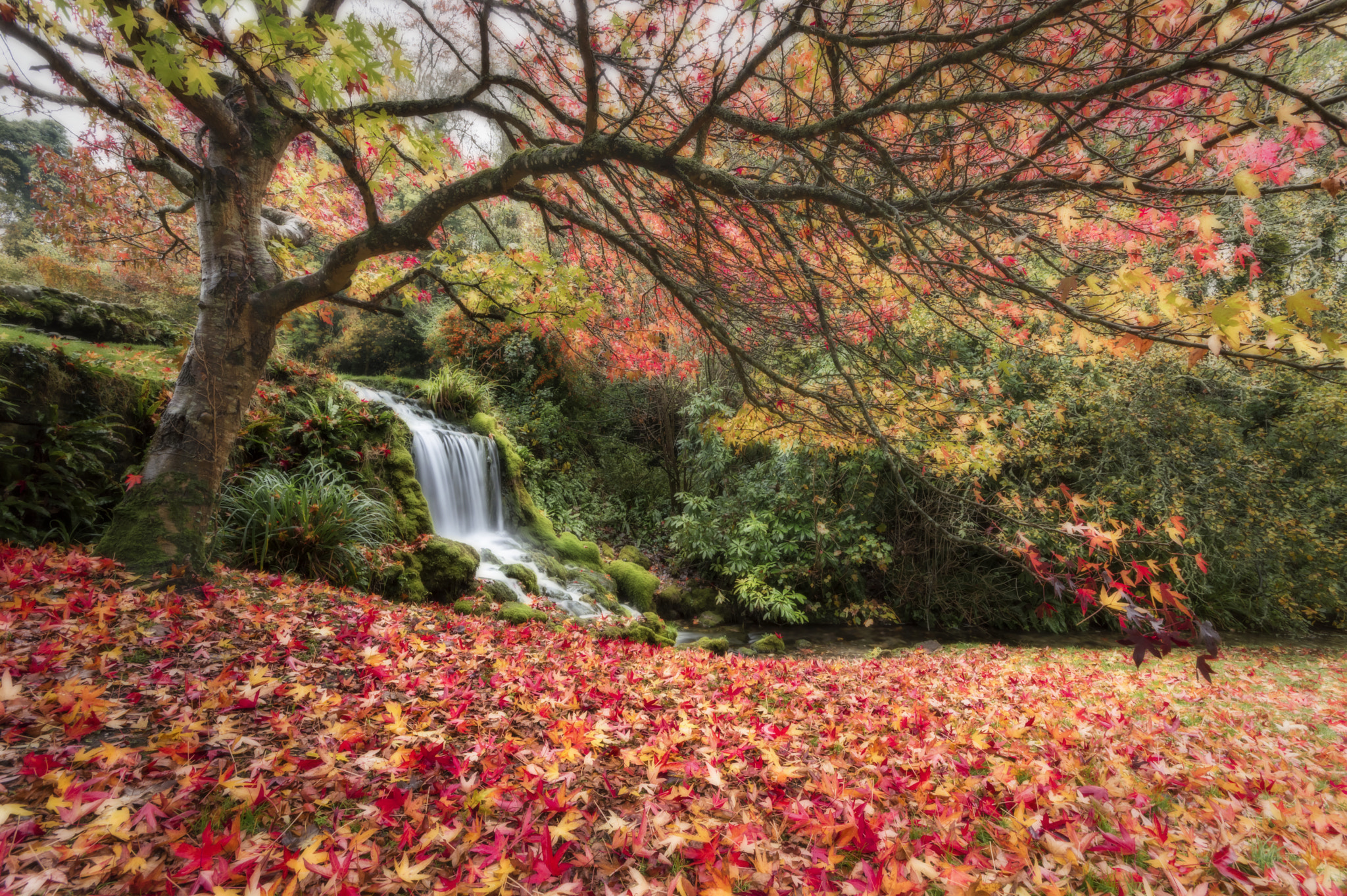 Wallpapers autumn colors autumn leaves waterfall on the desktop