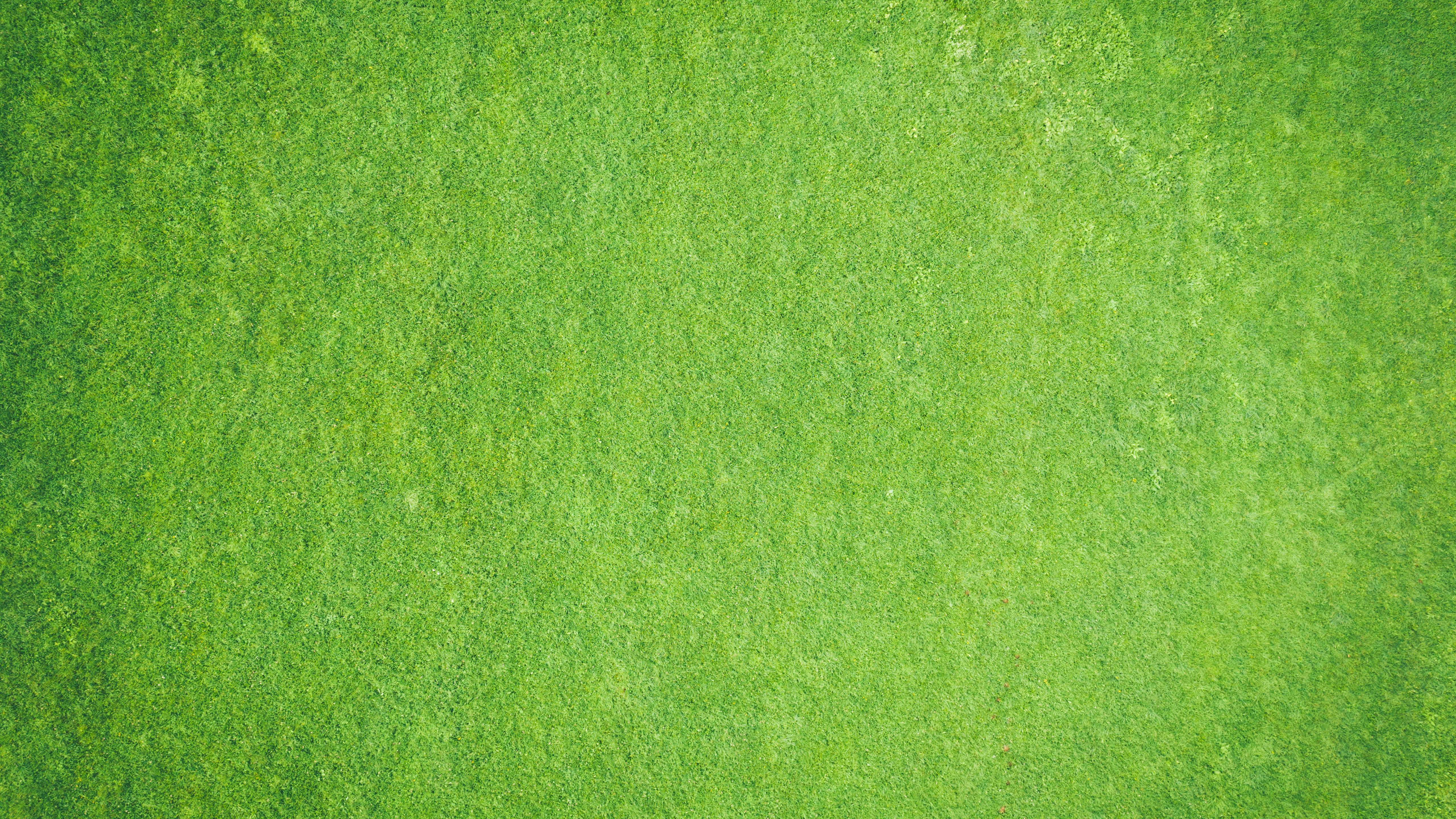 Wallpapers grass textures green on the desktop