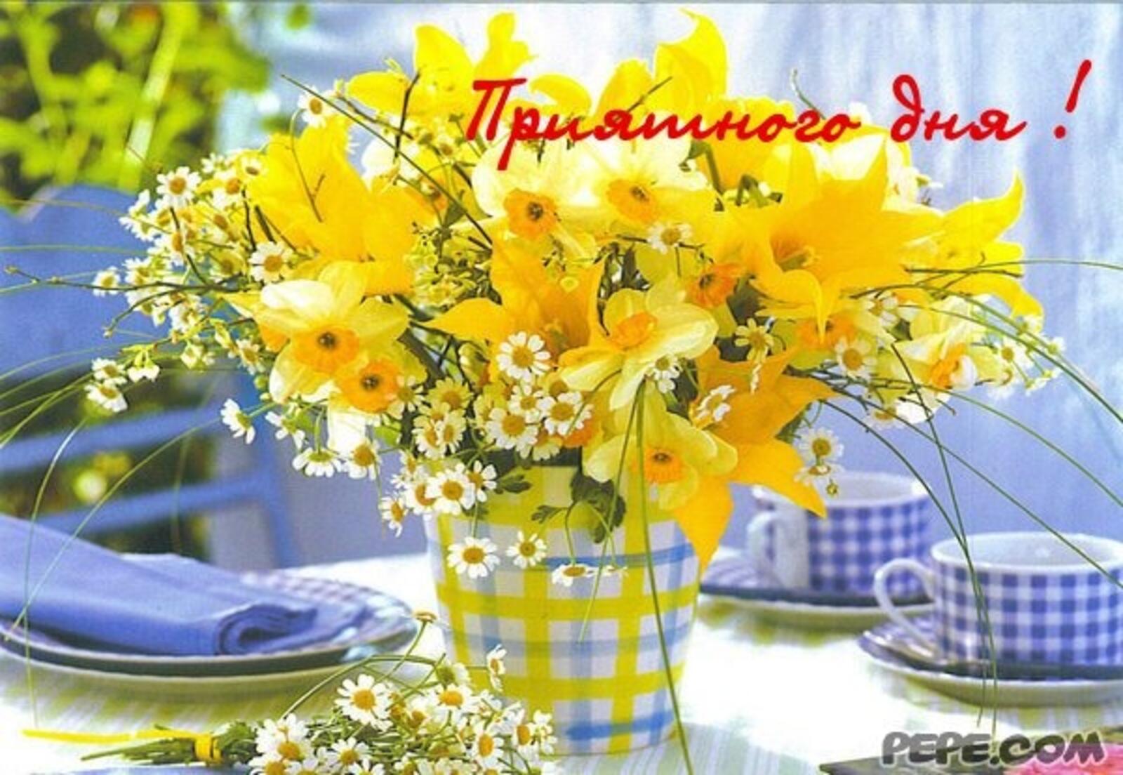 A postcard on the subject of good morning spring cards flowers yellow flowers for free