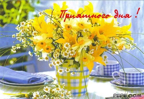 good morning spring cards flowers yellow flowers