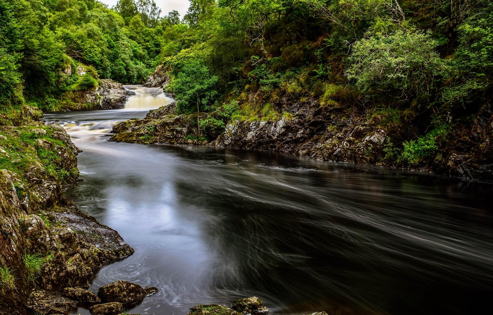 Бесплатное фото Река с сильным течением в лесу