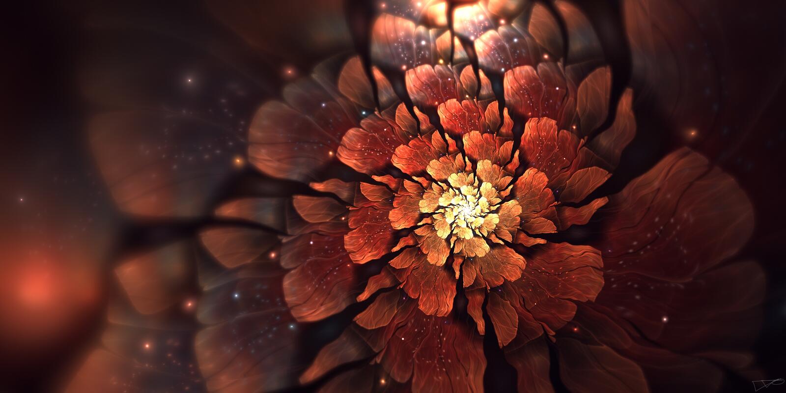 Wallpapers light wallpaper fractal flower macro on the desktop