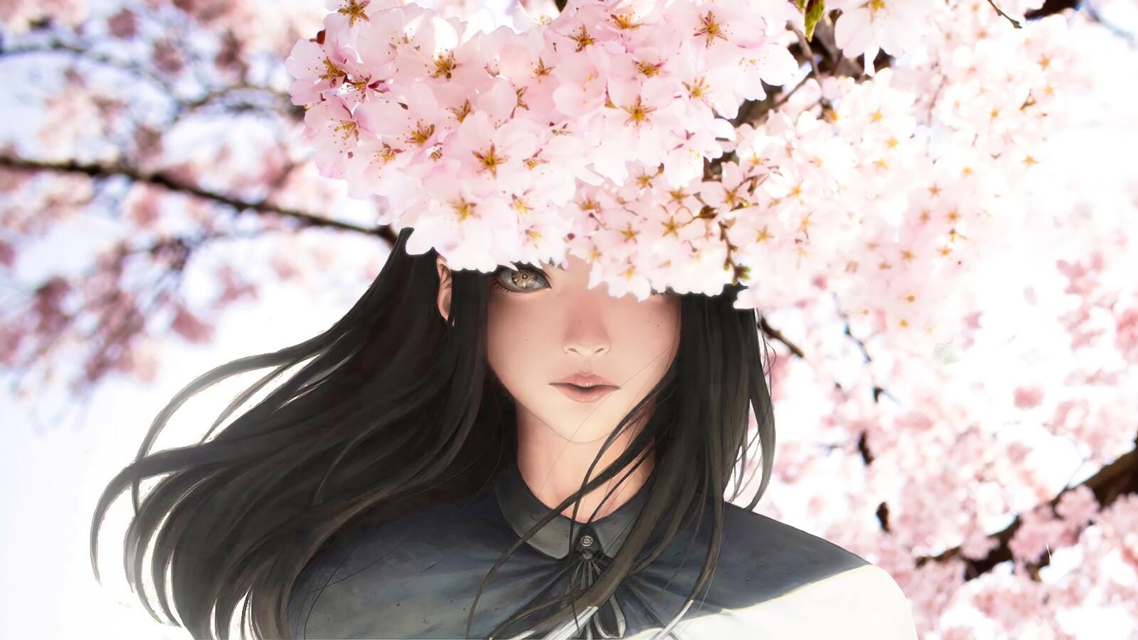 Wallpapers anime girl semi realistic sakura blossom on the desktop