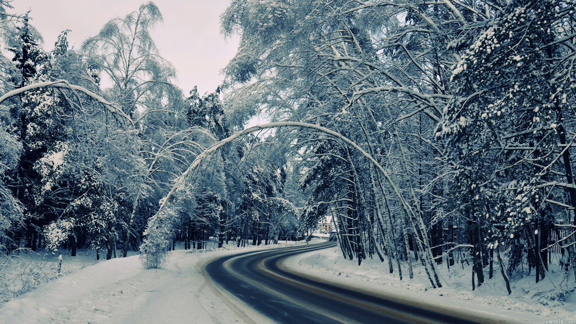 Фото бесплатно снег, атмосферное явление, мороз