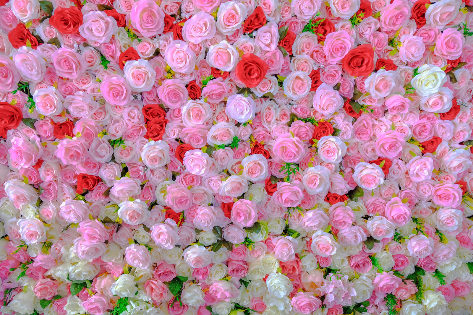 Wallpapers roses floral background floral arrangement on the desktop