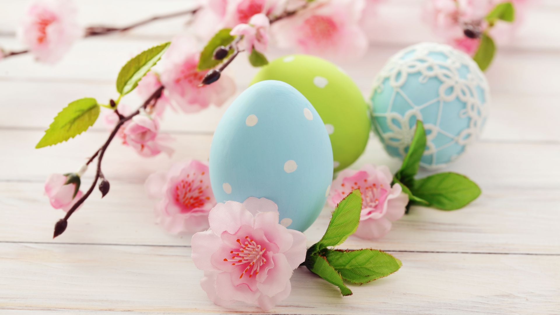 Фото бесплатно цветные яйца, цветы, крашенные яйца