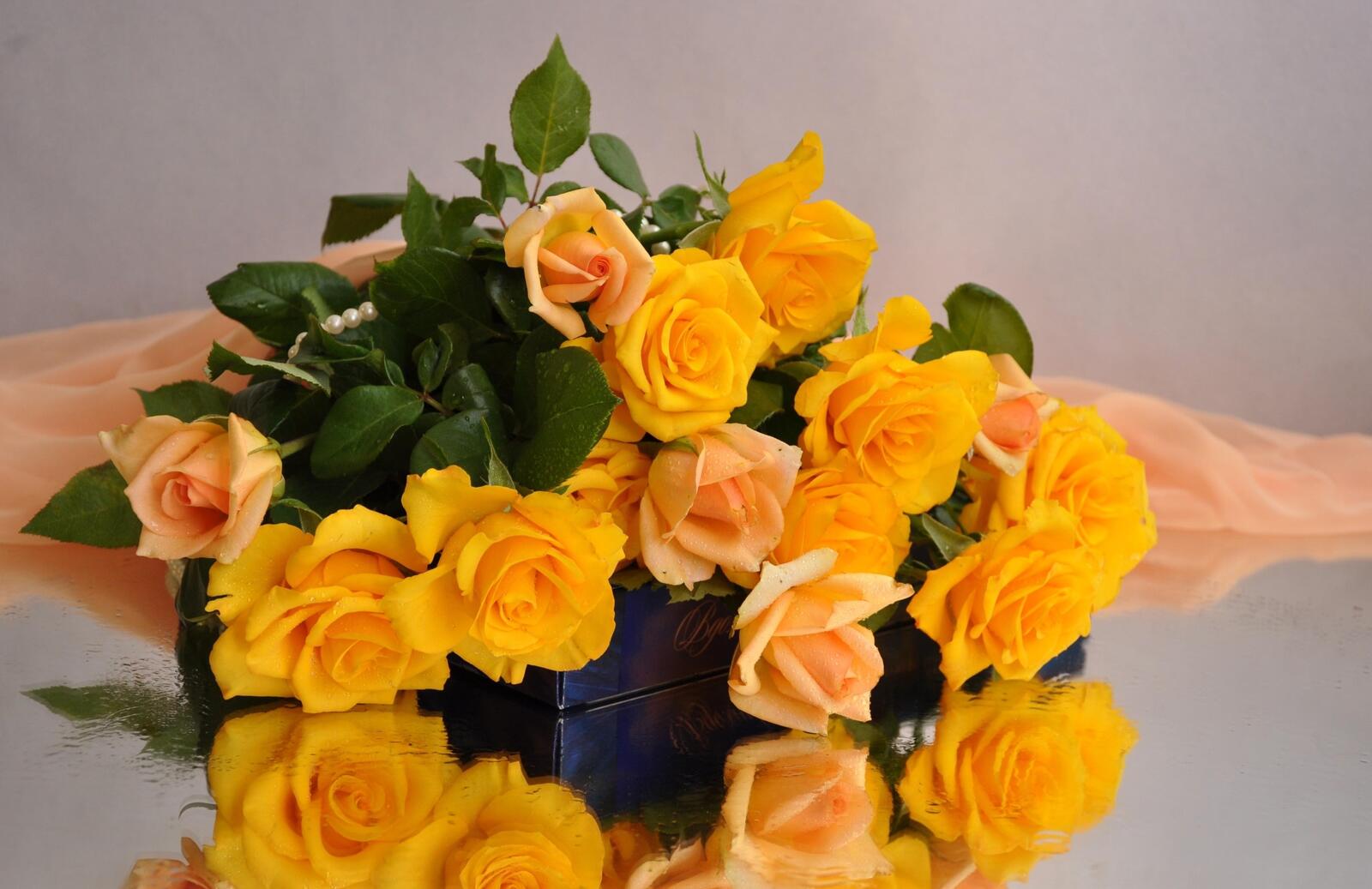Обои желтый подарок розы на обоях на рабочий стол