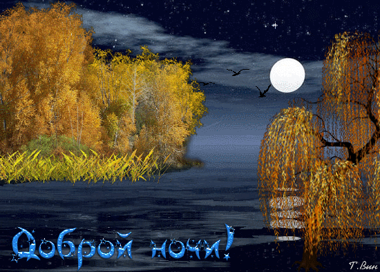 Postcard free evening wish, postcards good night with nature, good night nature twinkle cards