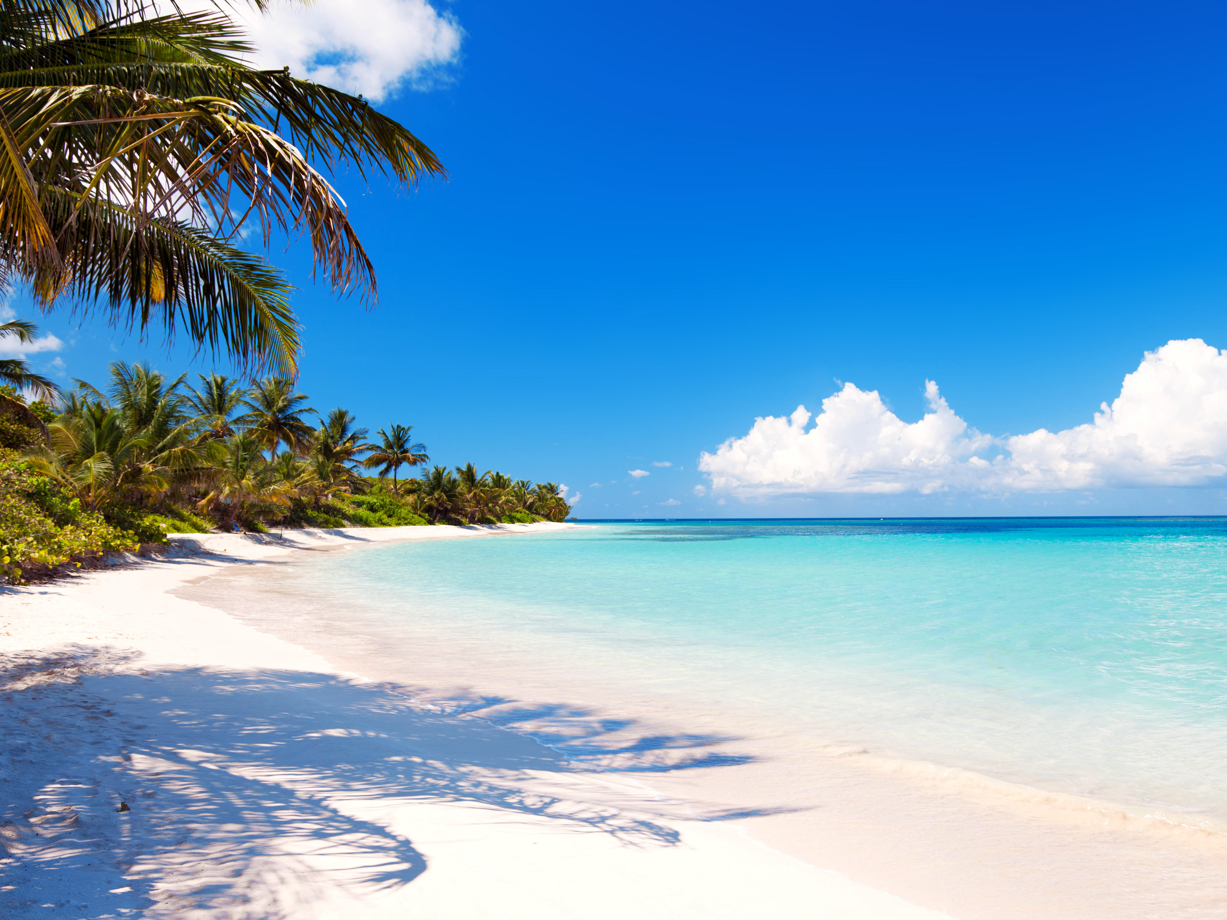 Wallpapers tropics white sand blue water on the desktop