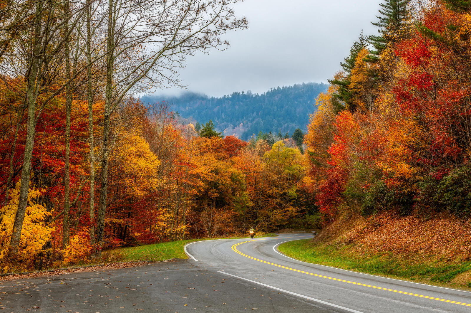 Wallpapers road Smoky Mountains National Park Tennessee on the desktop