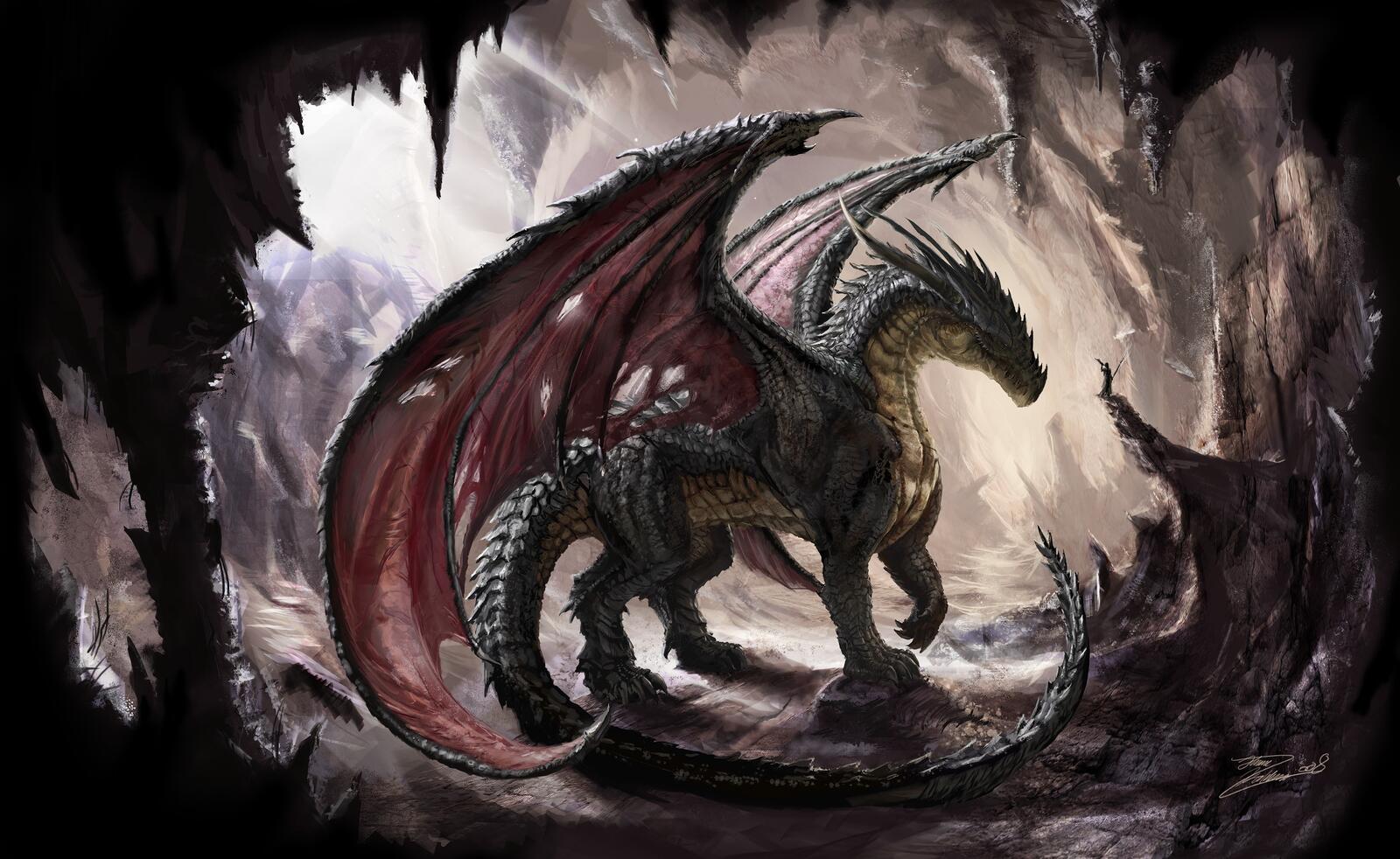 Wallpapers dragon mythology fictional character on the desktop
