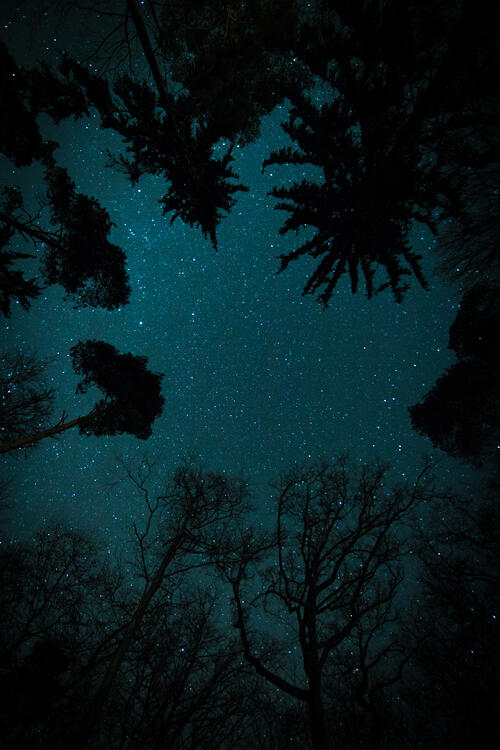 Night landscape and stars
