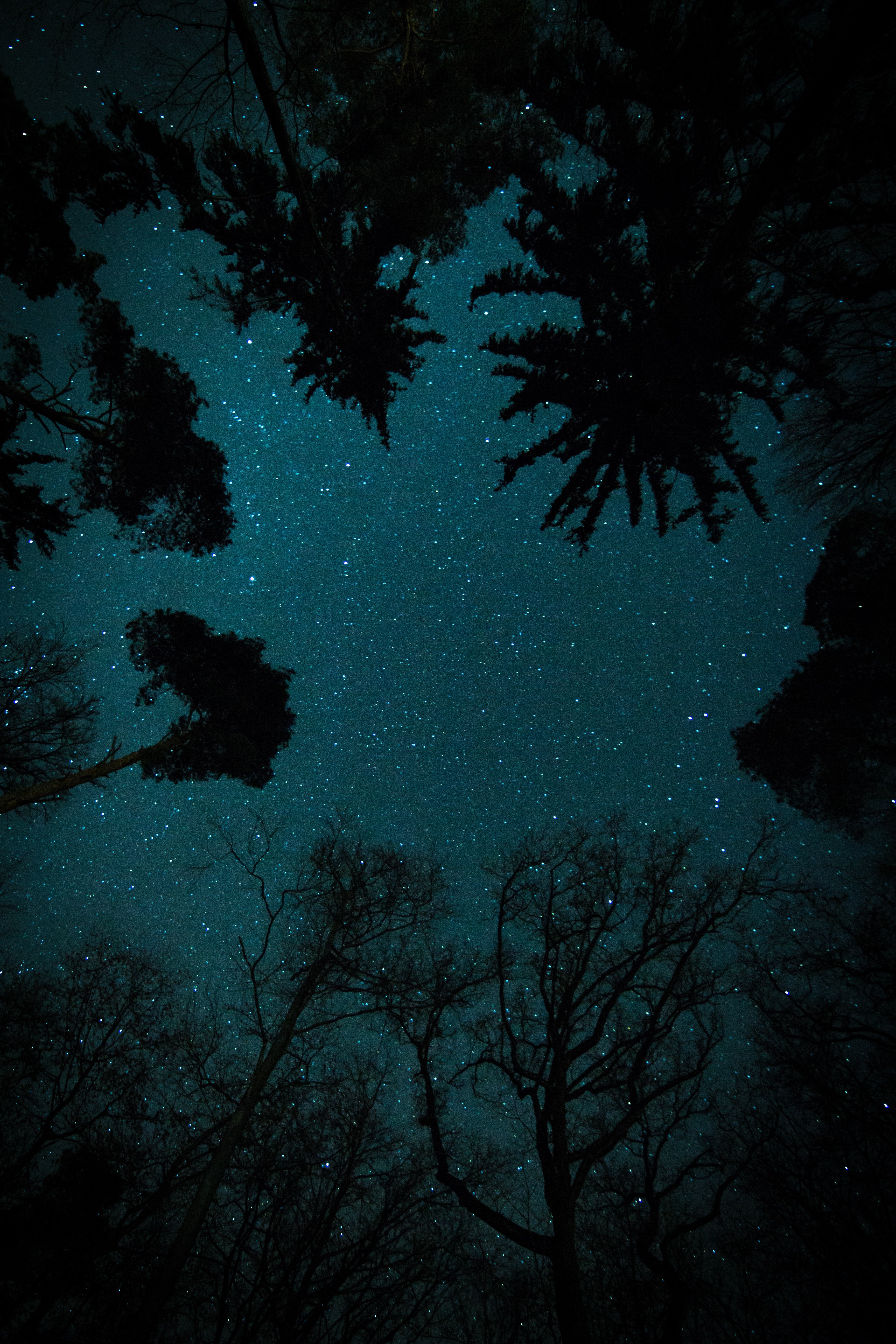 Бесплатное фото Ночной пейзаж и звезды