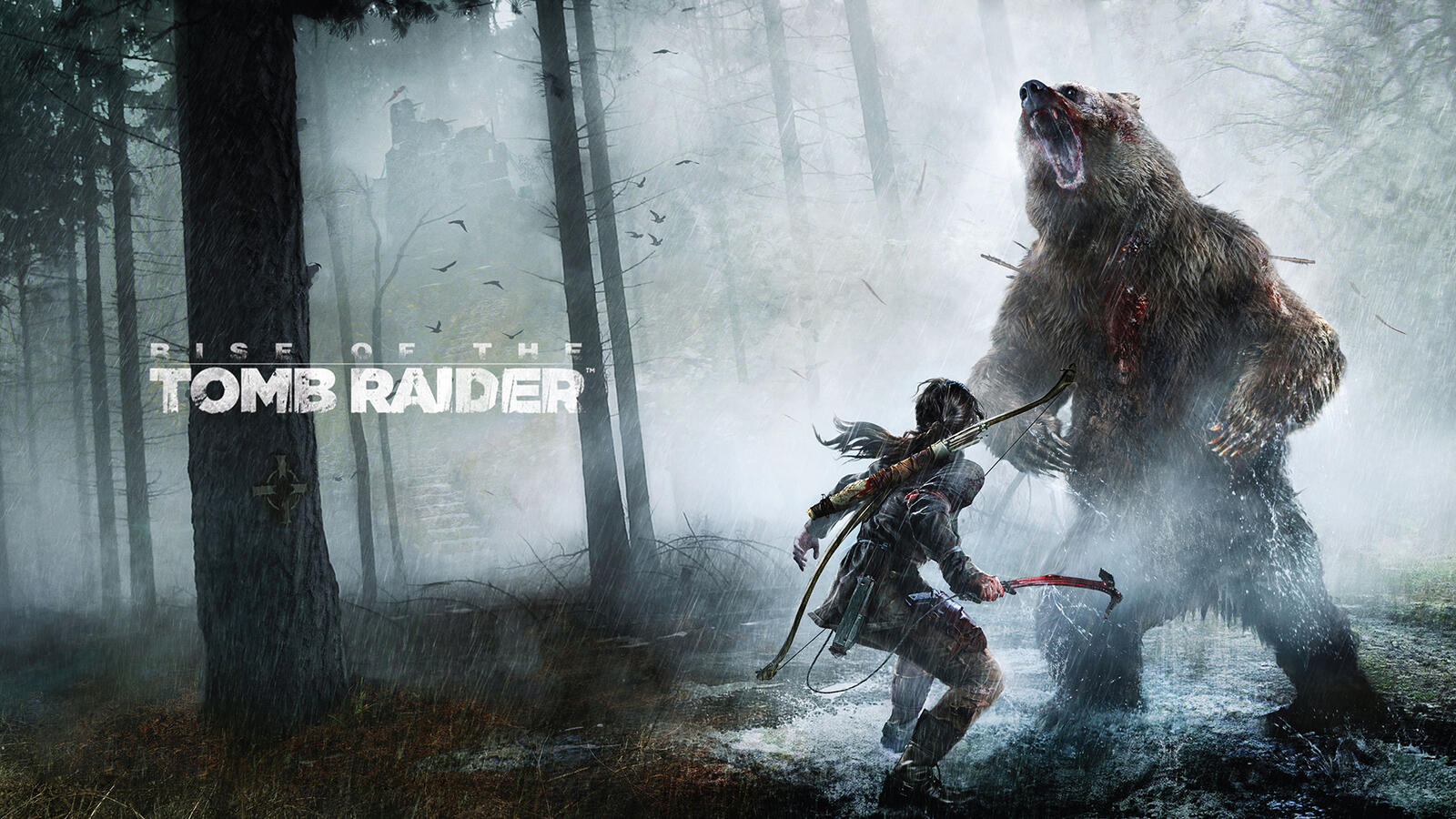 Обои Tomb Raider игровая PS игры на рабочий стол
