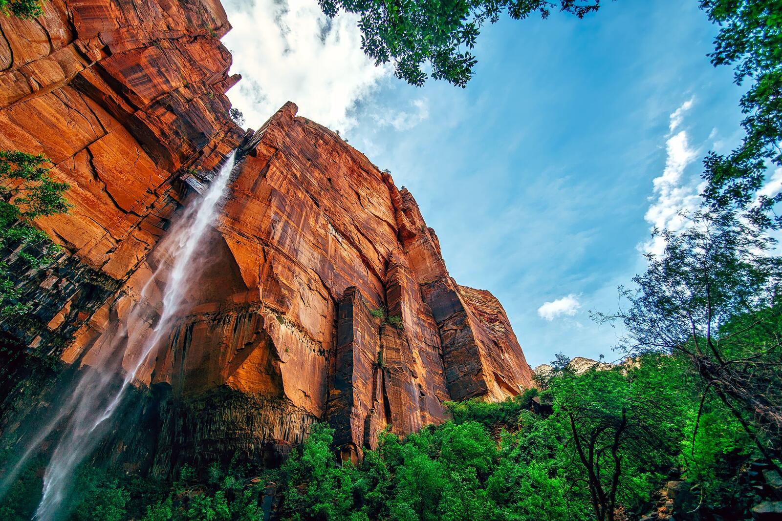 Wallpapers forest water feature canyon on the desktop