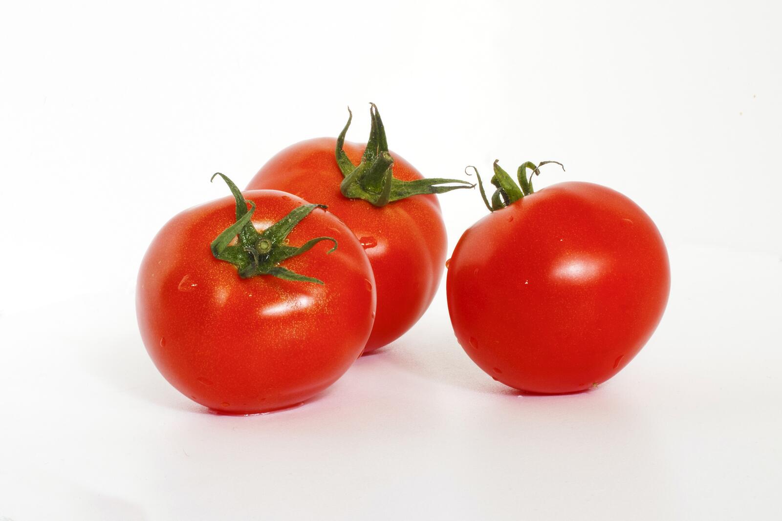 桌面上的壁纸食物 西红柿 白色背景