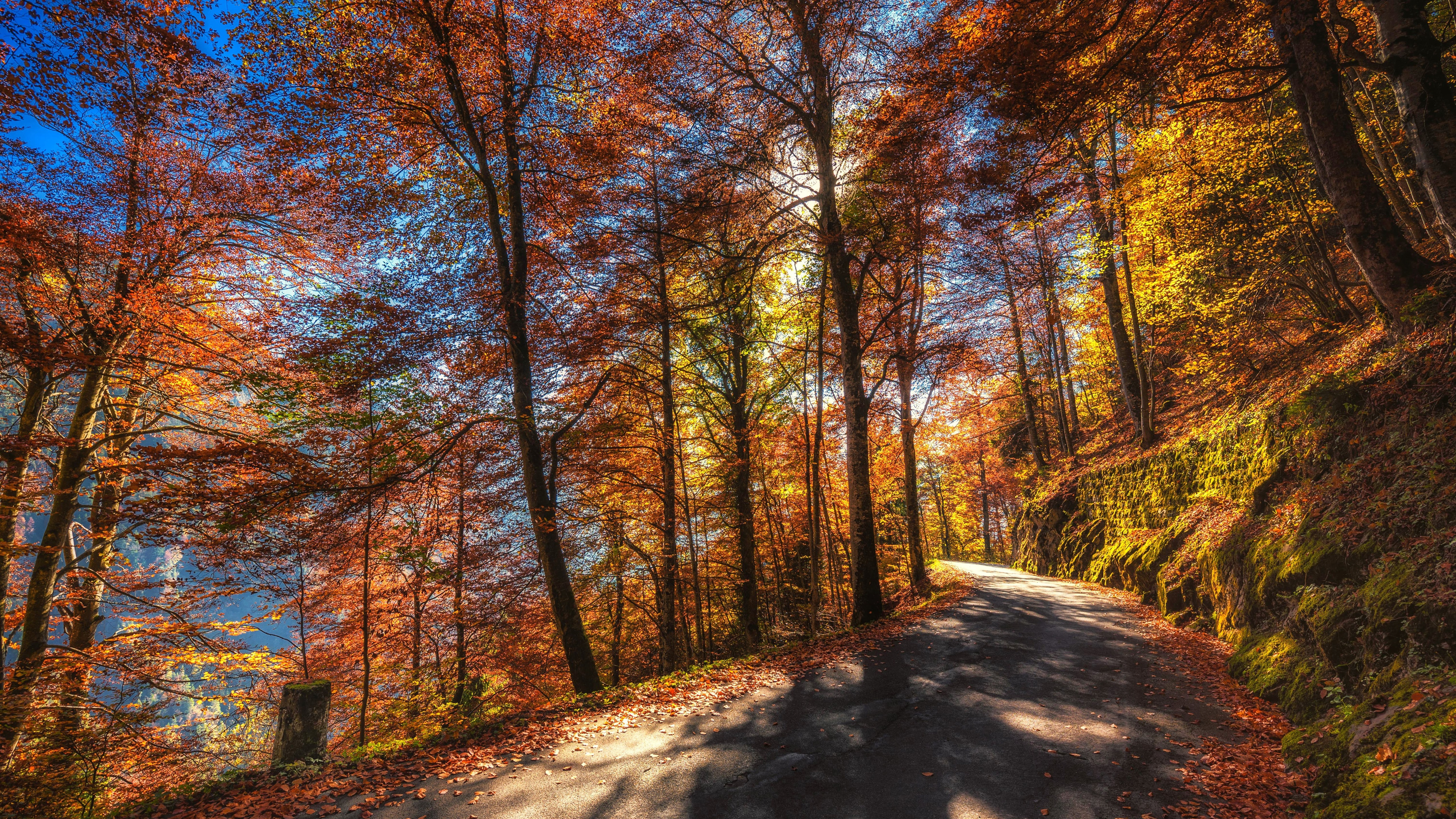 Wallpapers fall mood path on the desktop