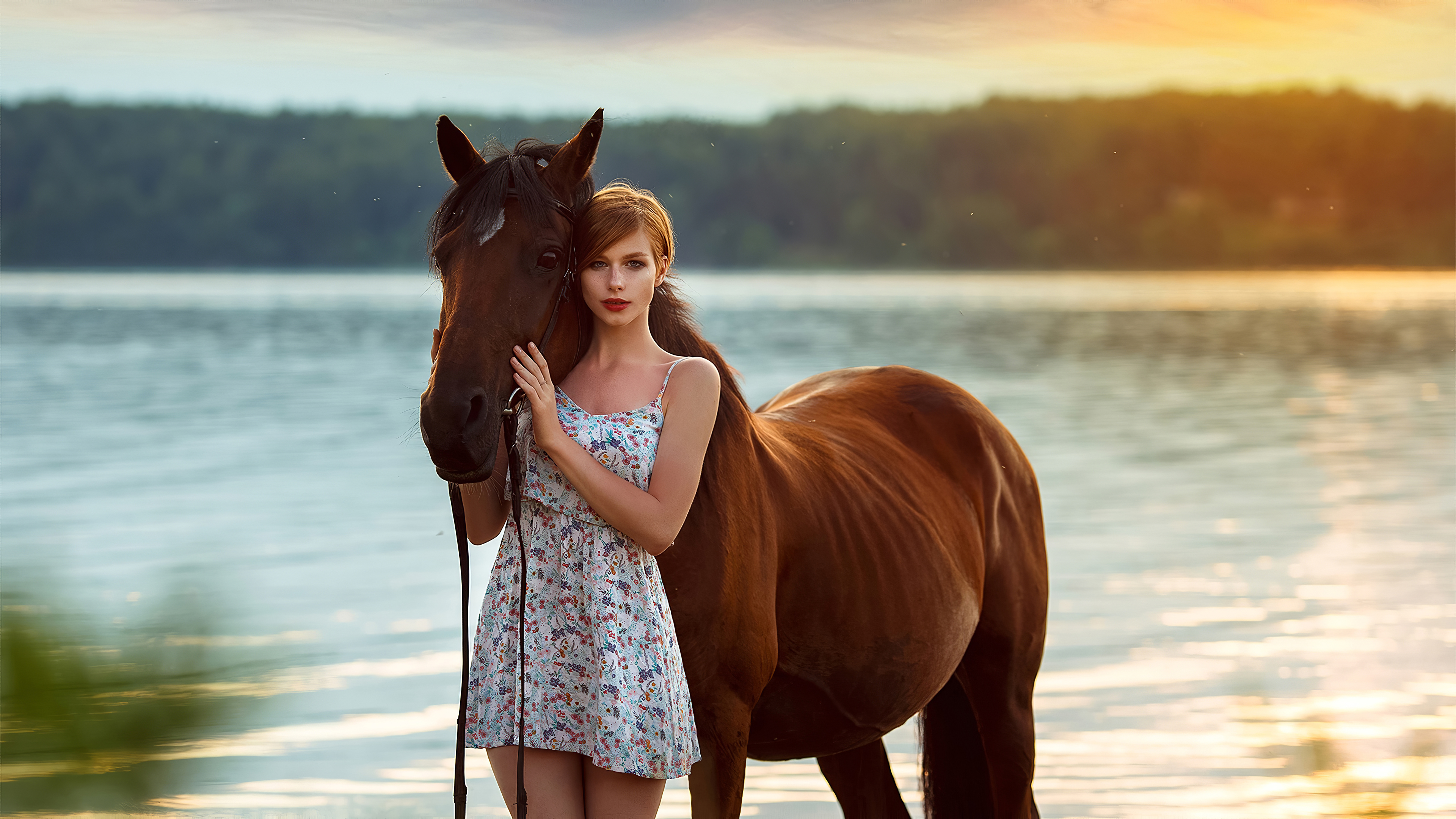 Обои лошадь девушки платье на рабочий стол