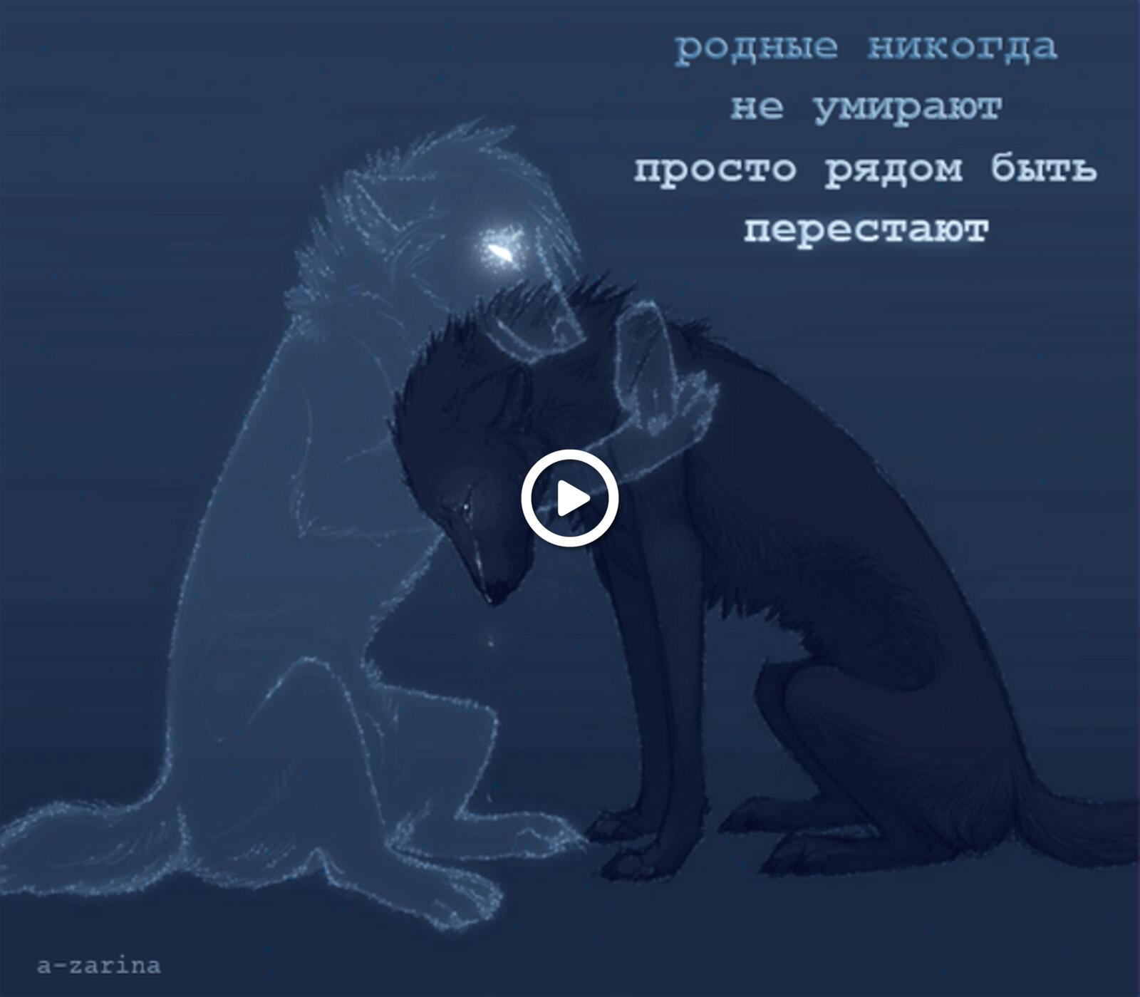 separation wolf animation native