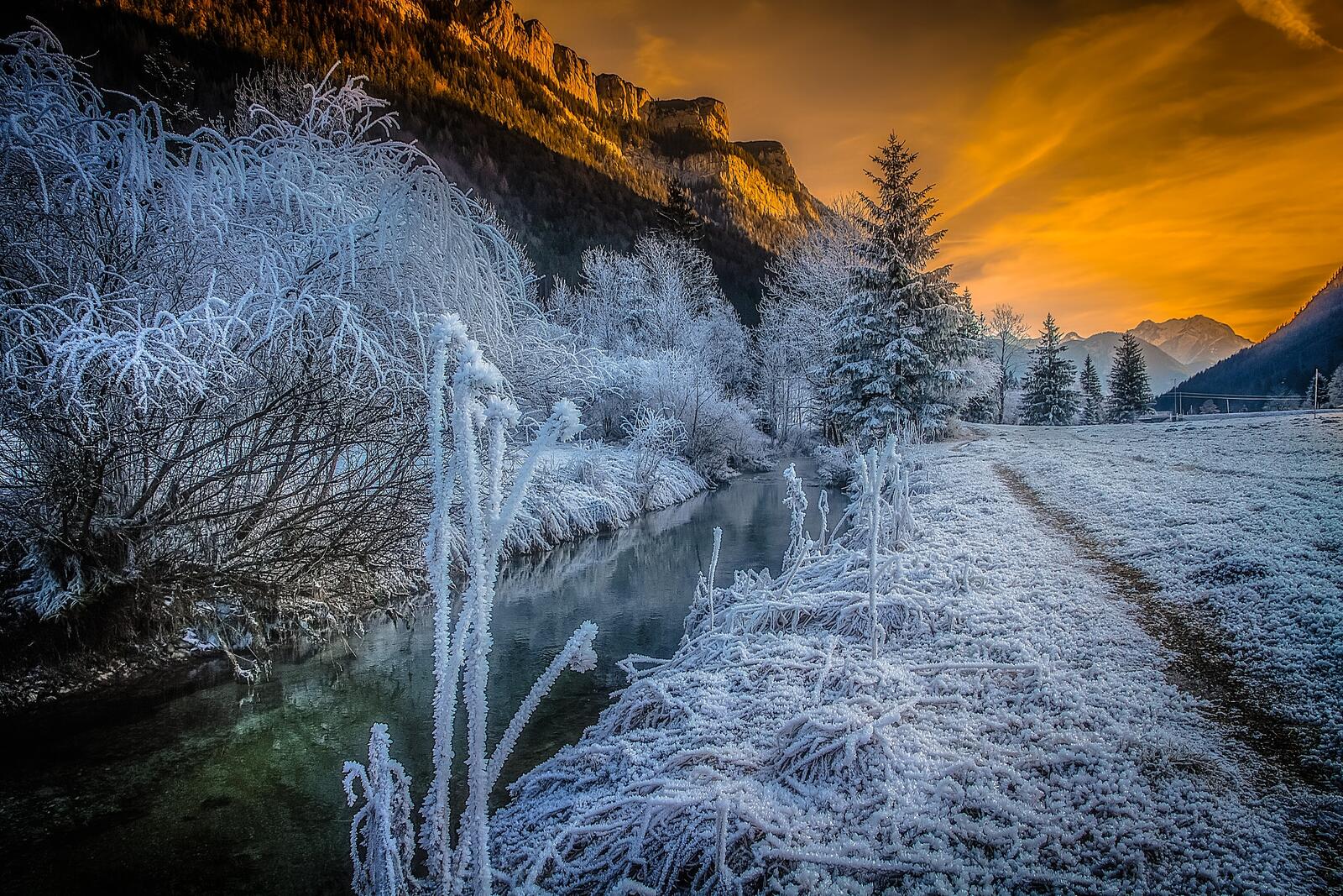 Бесплатное фото Замерзшая осенняя природа на закате