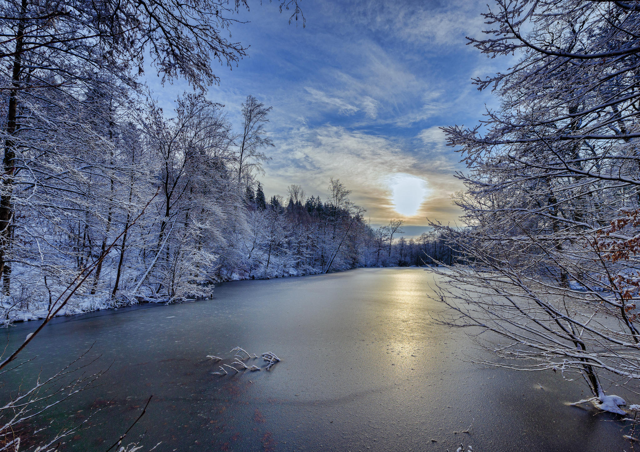 Фото бесплатно пейзаж, лес, деревья в снегу