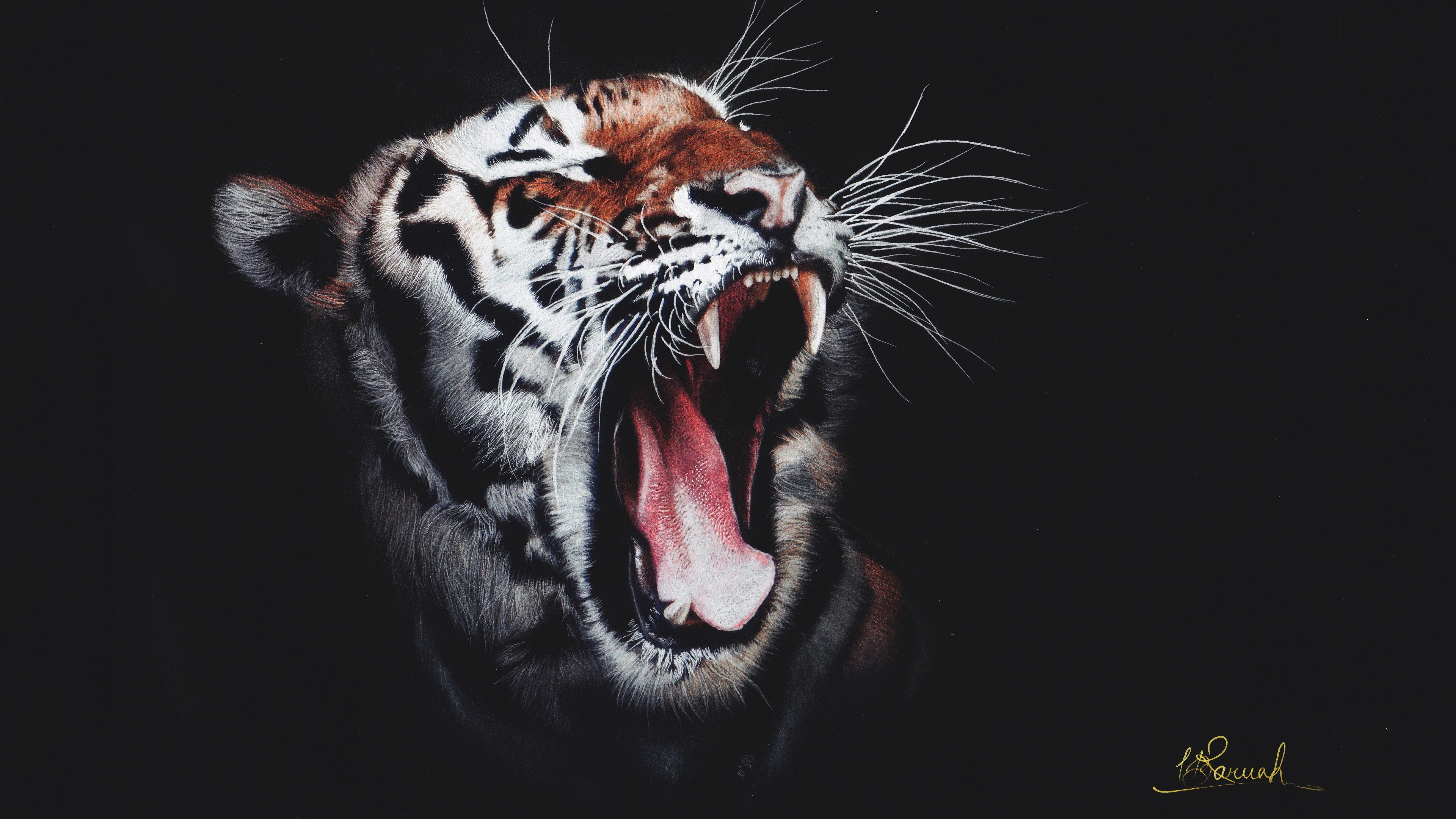 Wallpapers tiger head roar teeth on the desktop