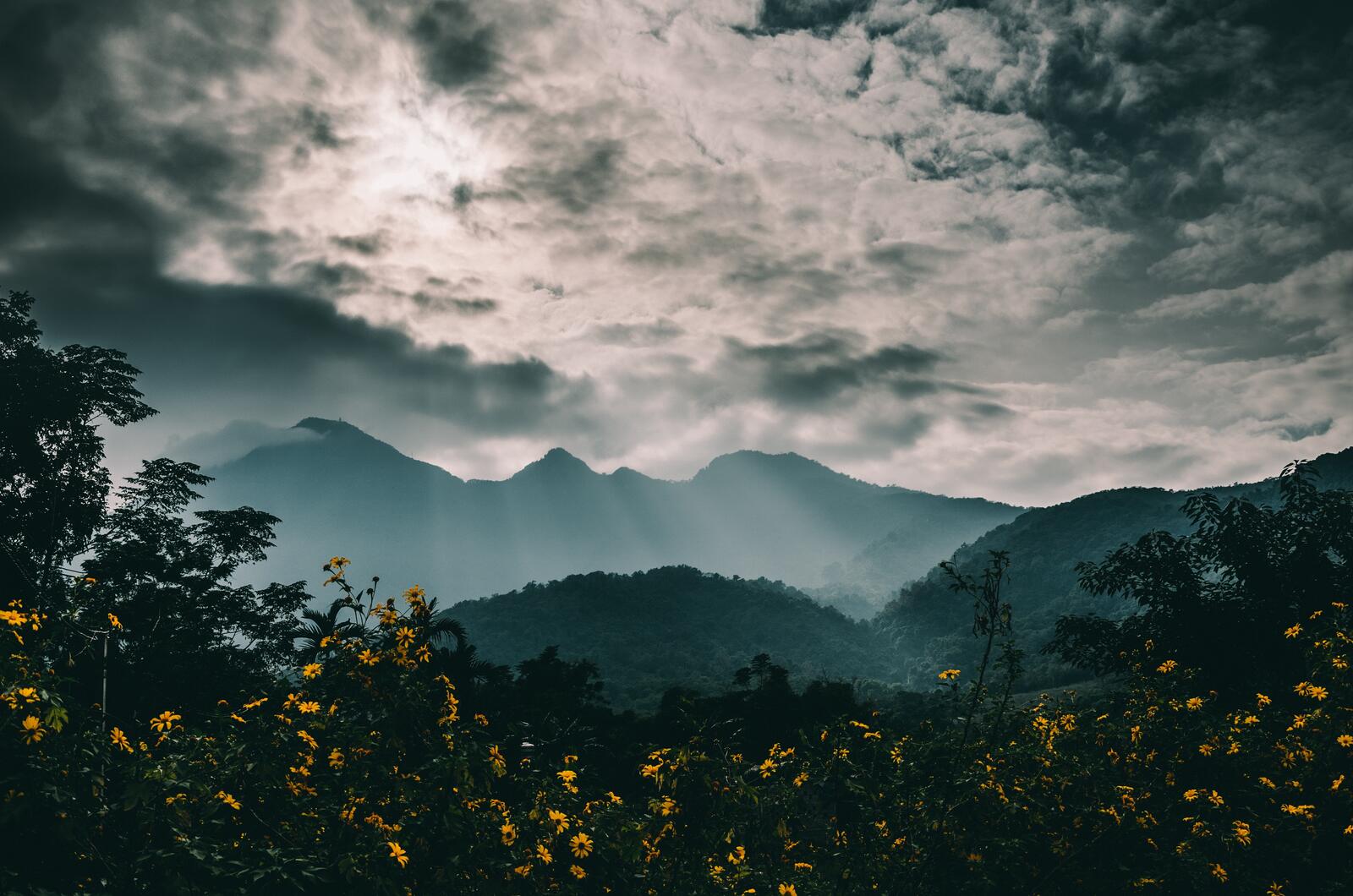 Бесплатное фото Густые облака над горами
