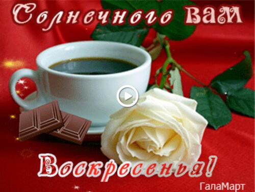 good morning and good day cards a cup coffee