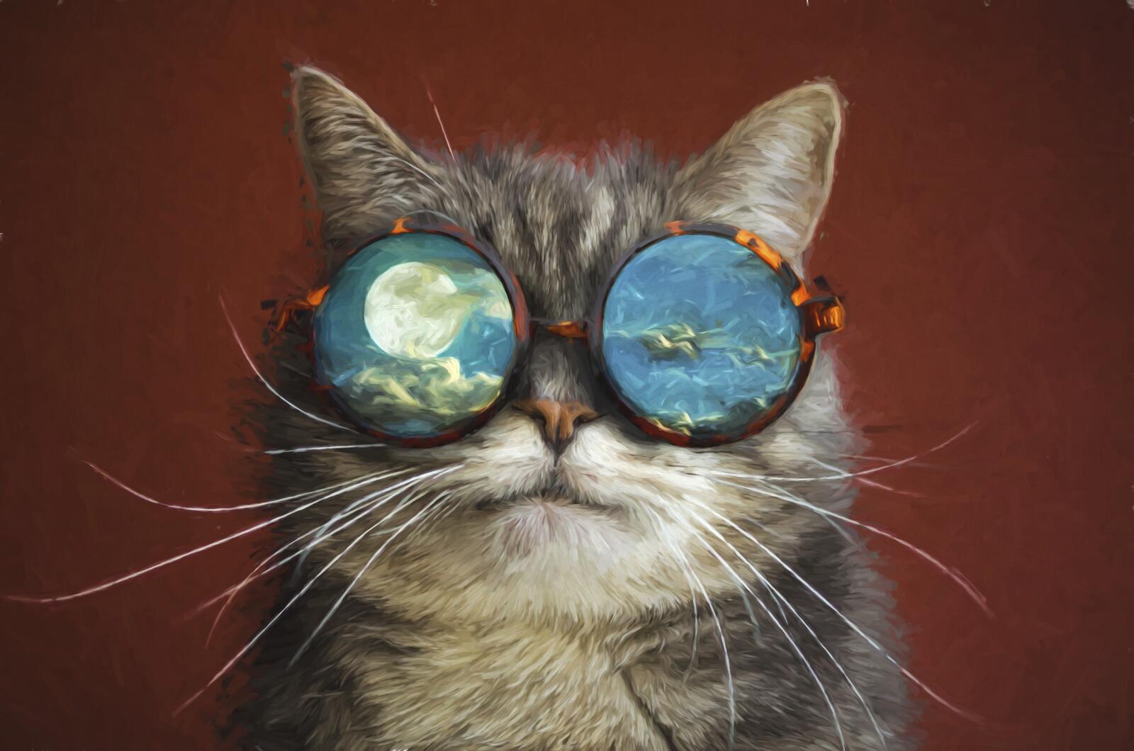 Wallpapers glasses cat artist on the desktop