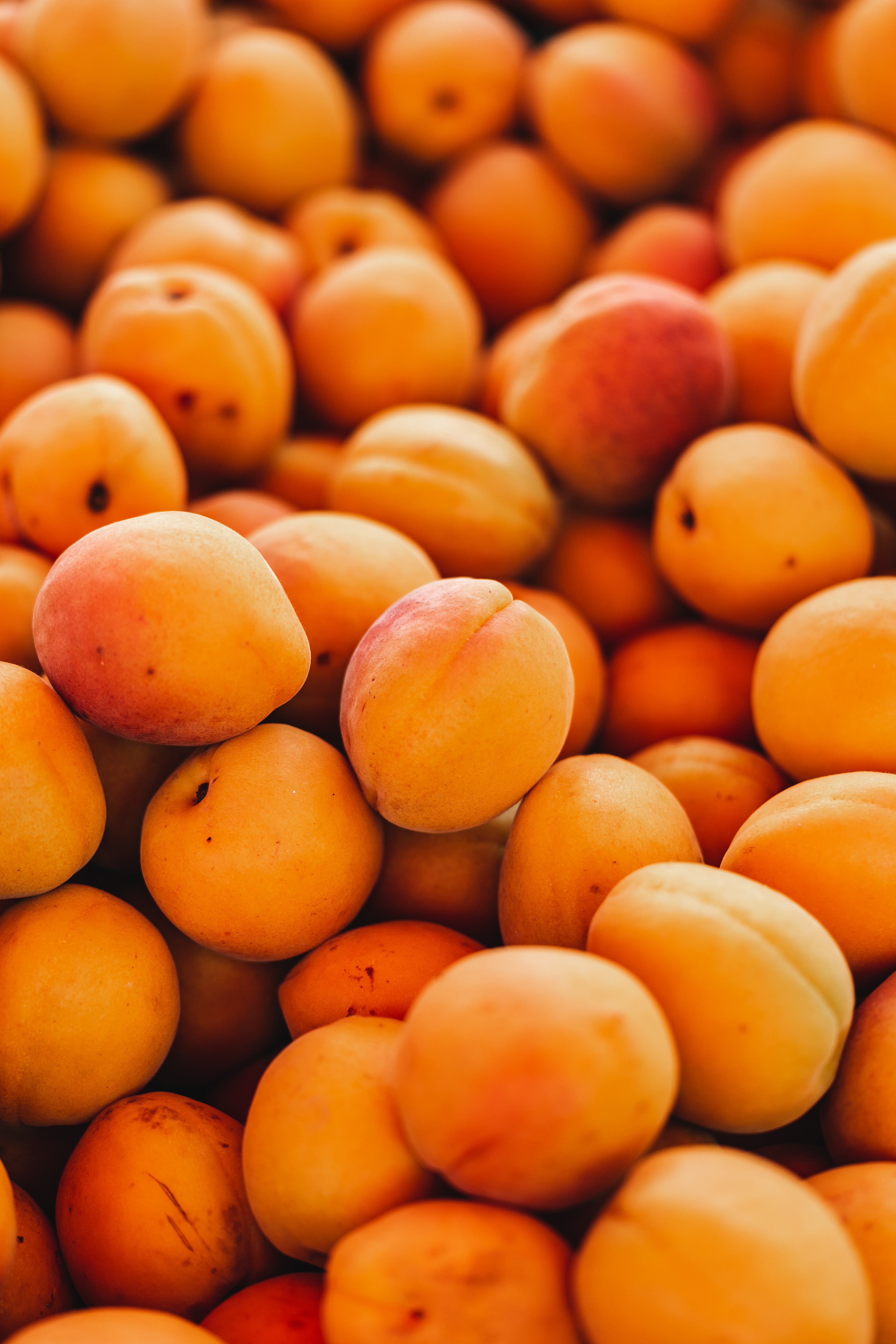 Wallpapers food apricot many on the desktop