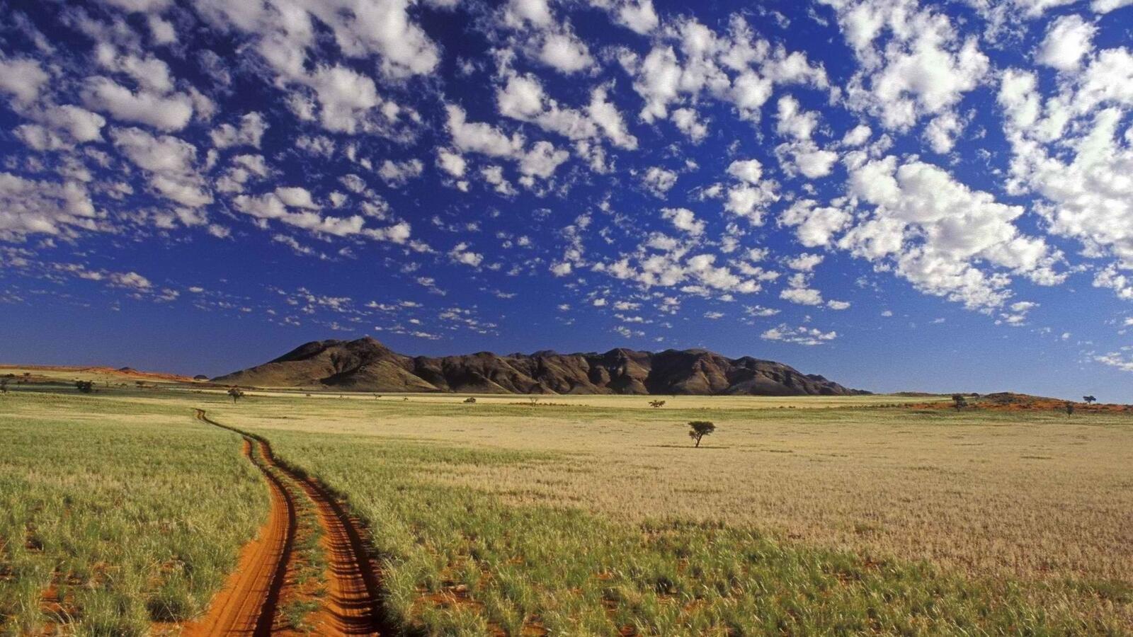 Бесплатное фото Пустынная дорога в поле