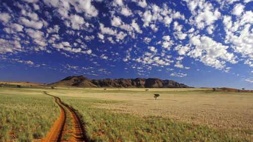 Пустынная дорога в поле