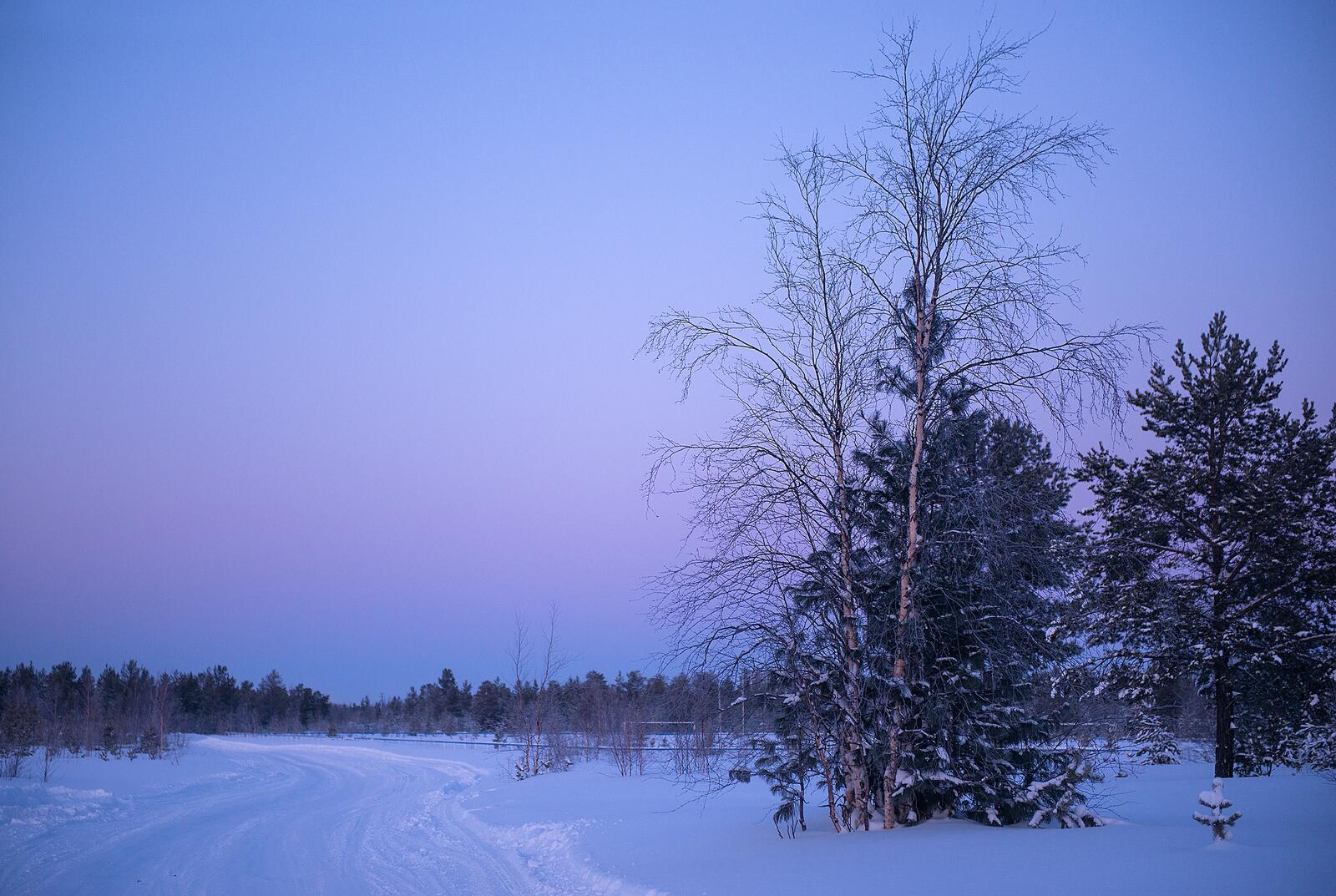 免费照片下载照片 日落，冬季，道路